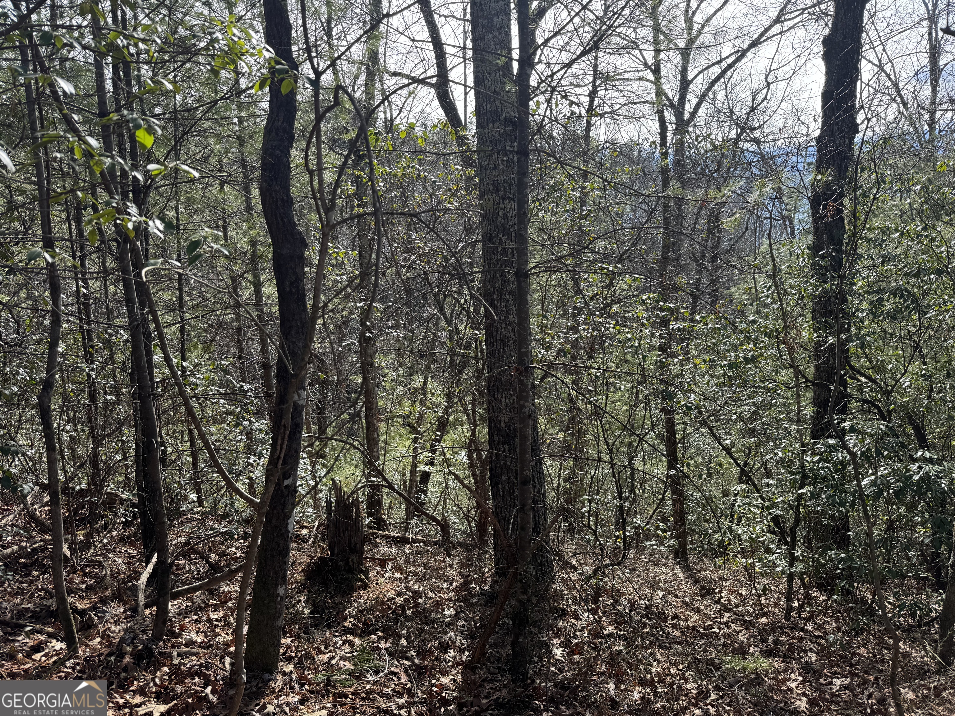 0 Mountain Lion Trail Helen GA 30545