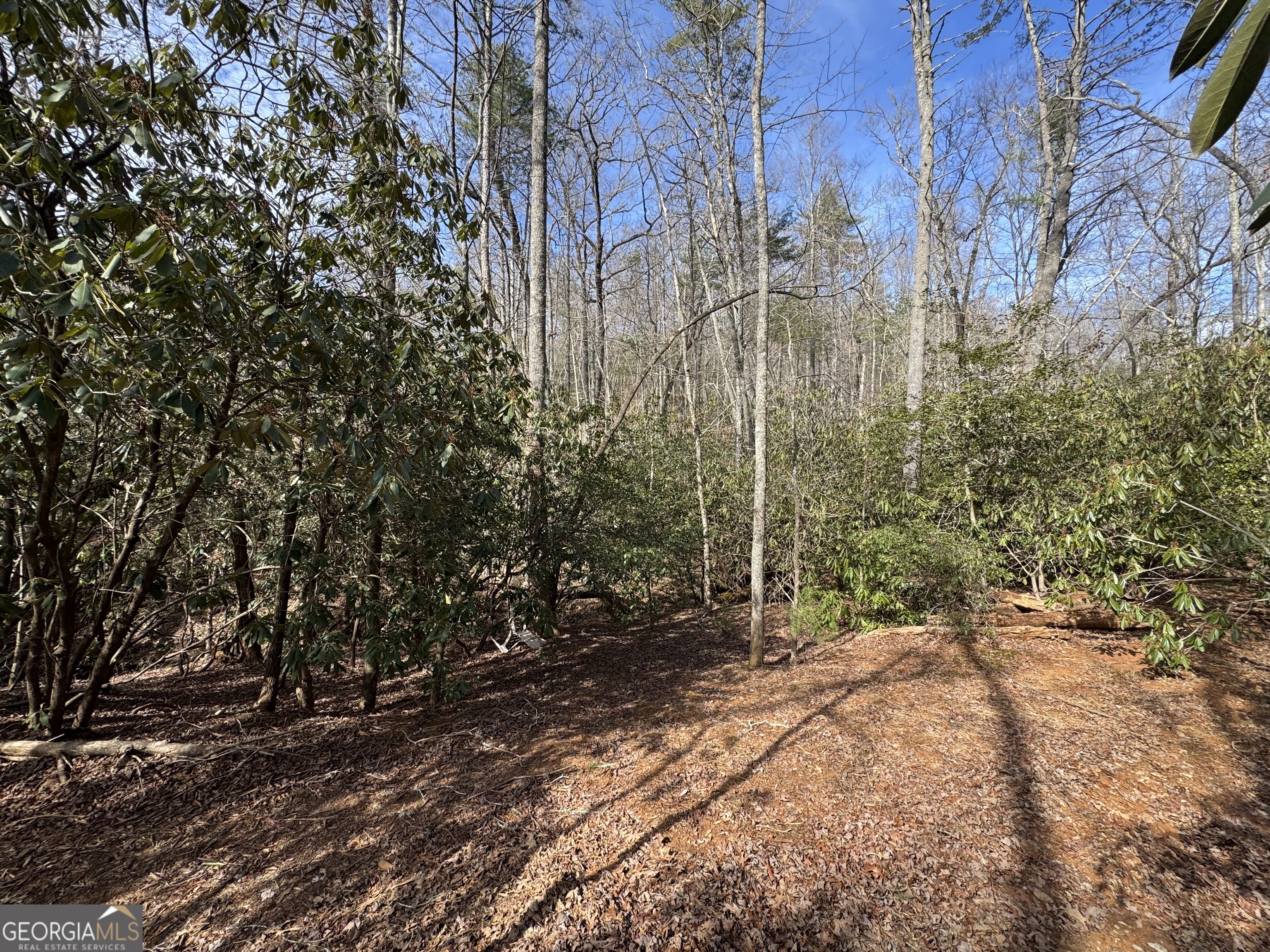 0 Mountain Lion Trail Helen GA 30545