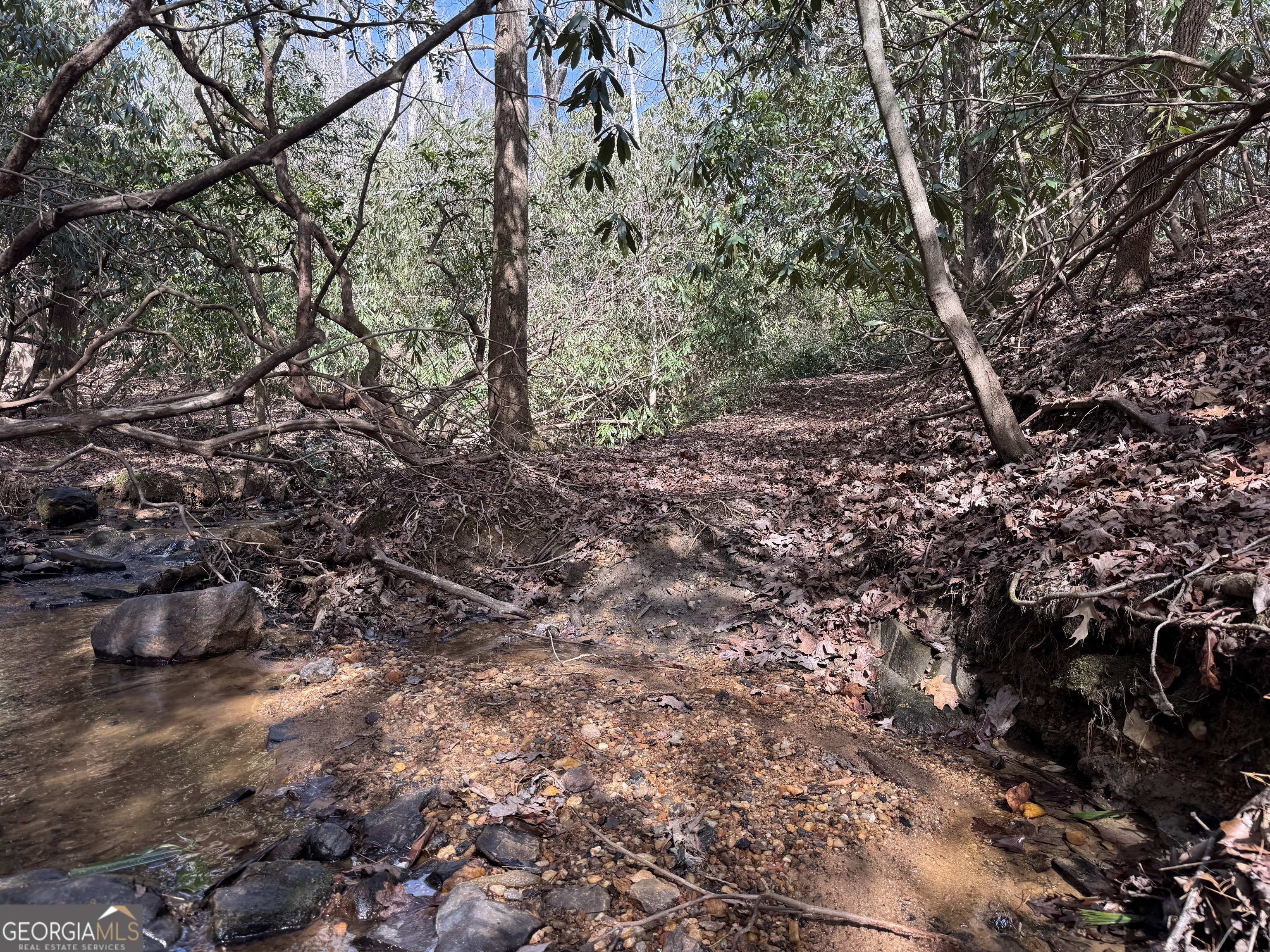 0 Mountain Lion Trail Helen GA 30545