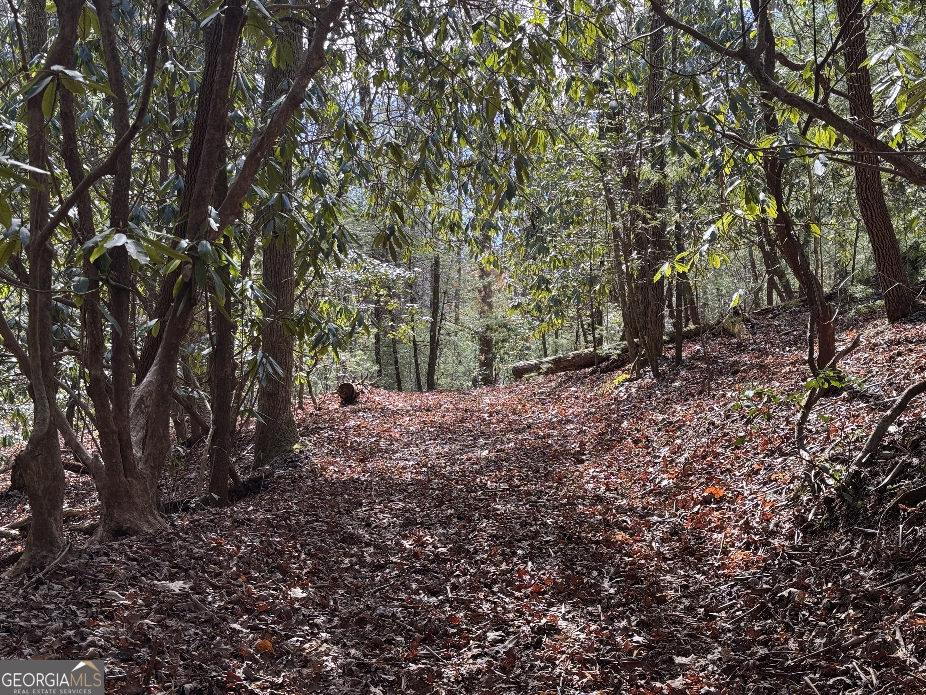 0 Mountain Lion Trail Helen GA 30545
