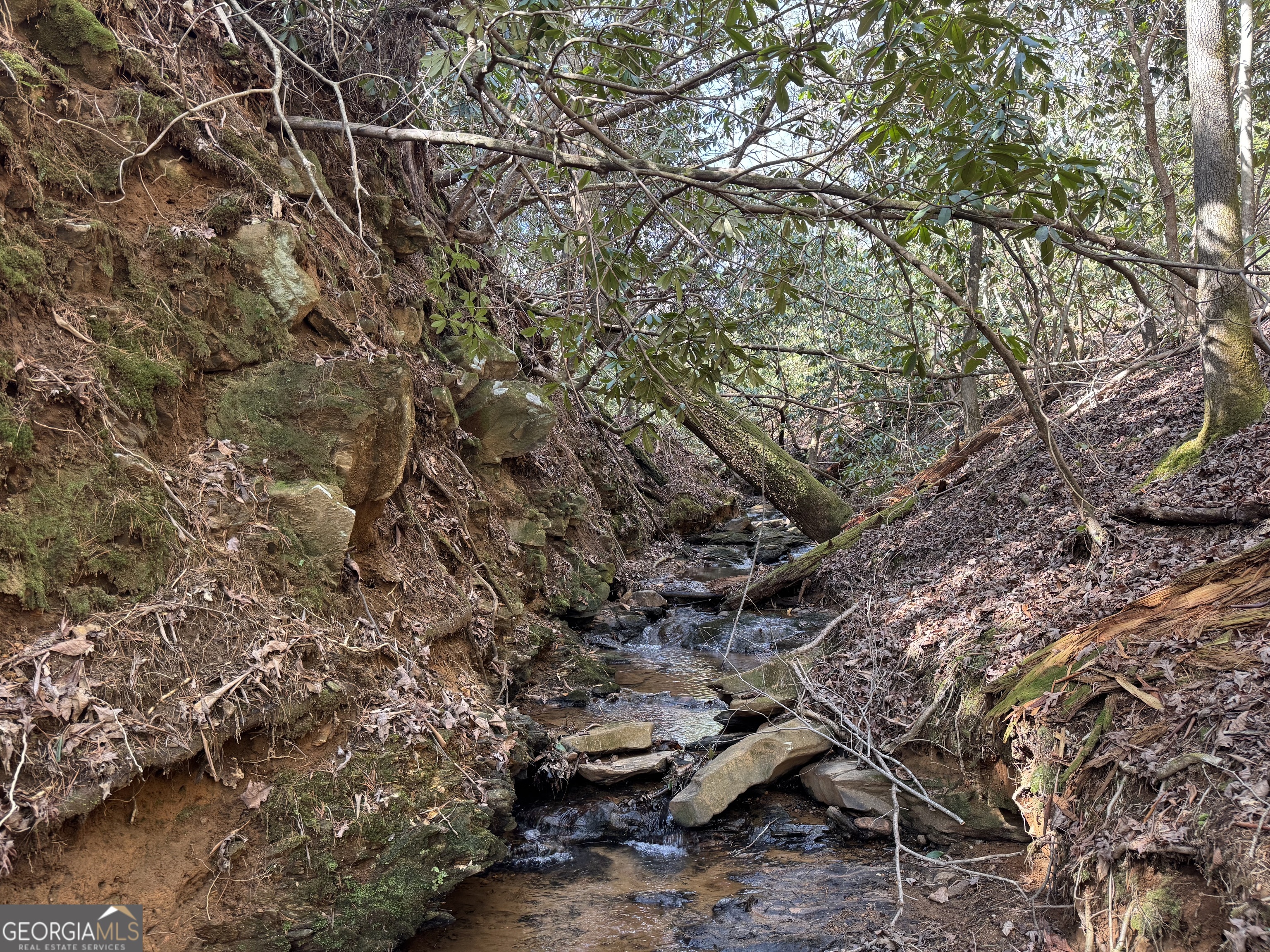 0 Mountain Lion Trail Helen GA 30545