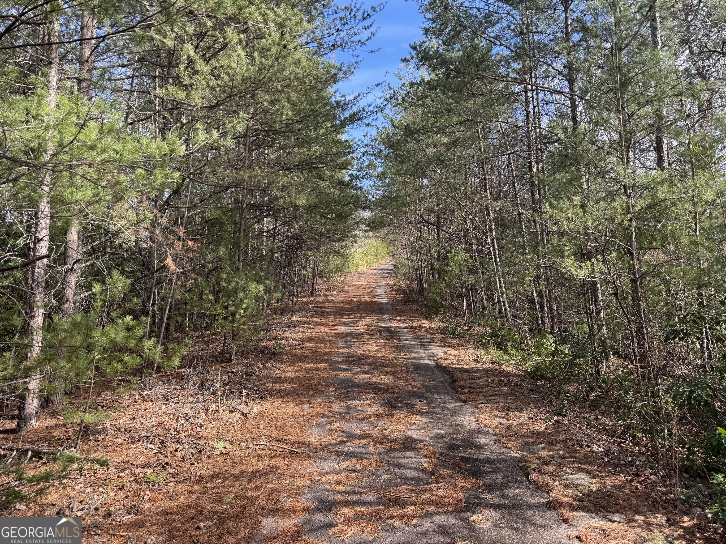 0 Mountain Lion Trail Helen GA 30545