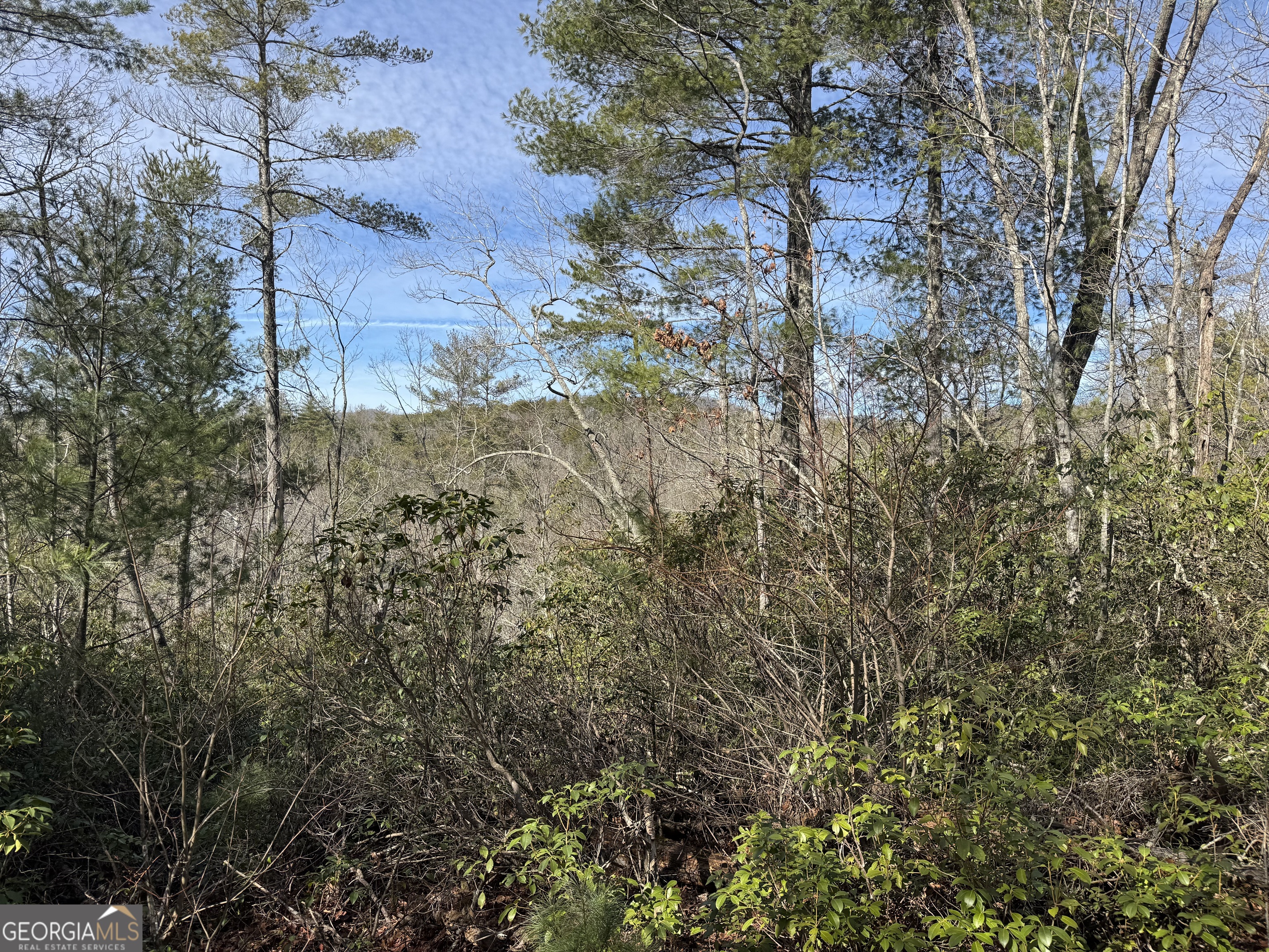 0 Mountain Lion Trail Helen GA 30545