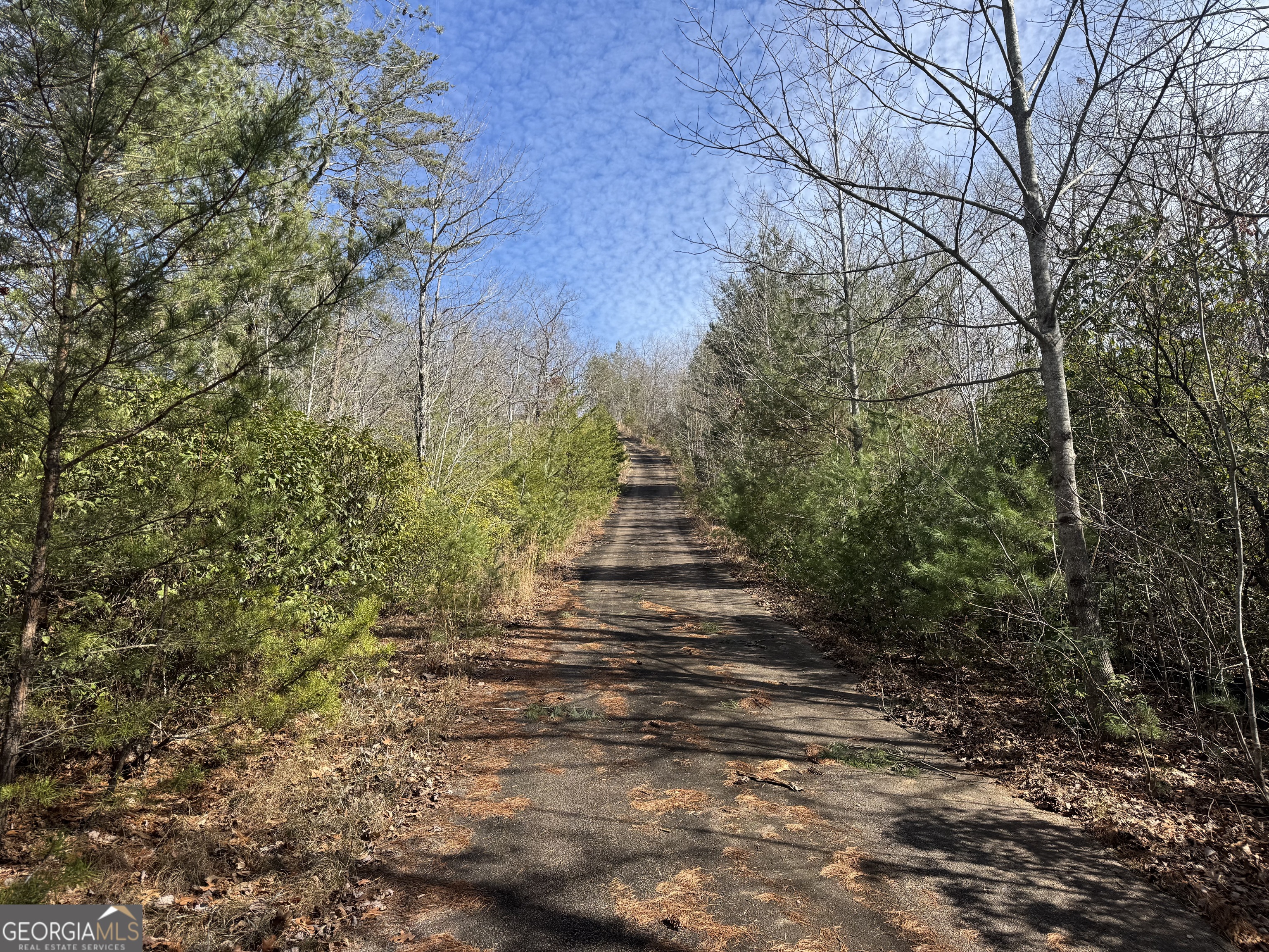 0 Mountain Lion Trail Helen GA 30545