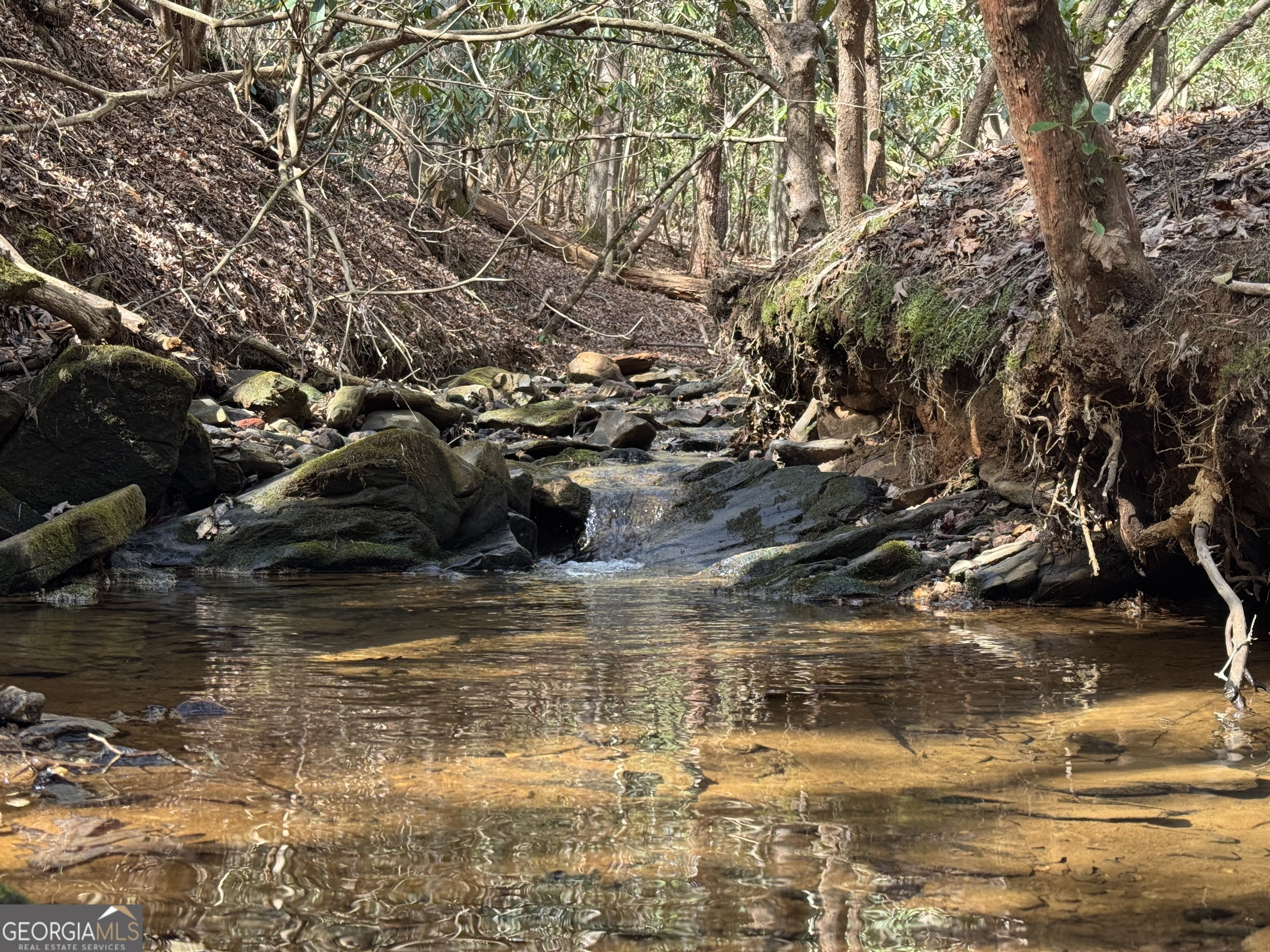 0 Mountain Lion Trail Helen GA 30545