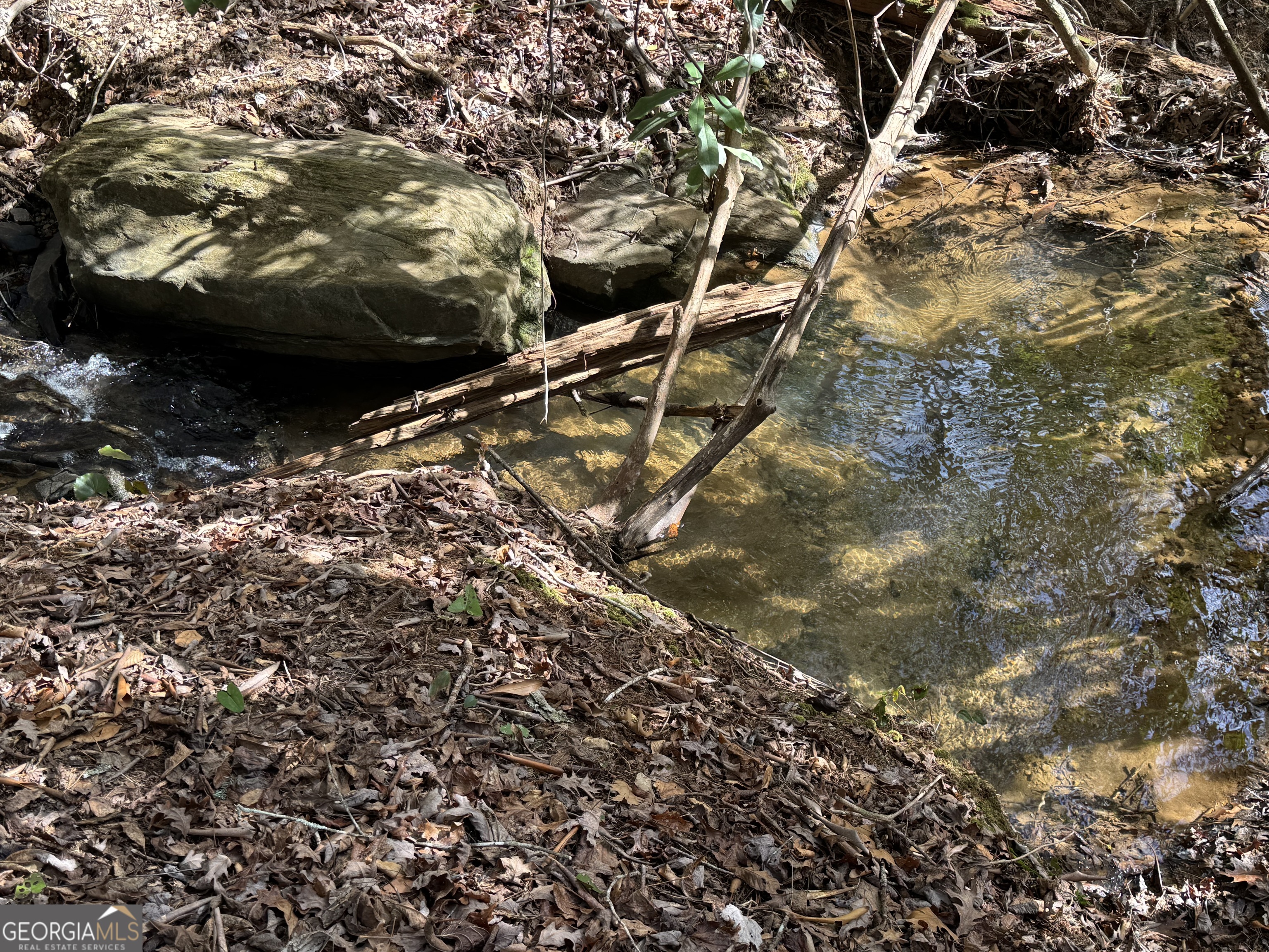 0 Mountain Lion Trail Helen GA 30545