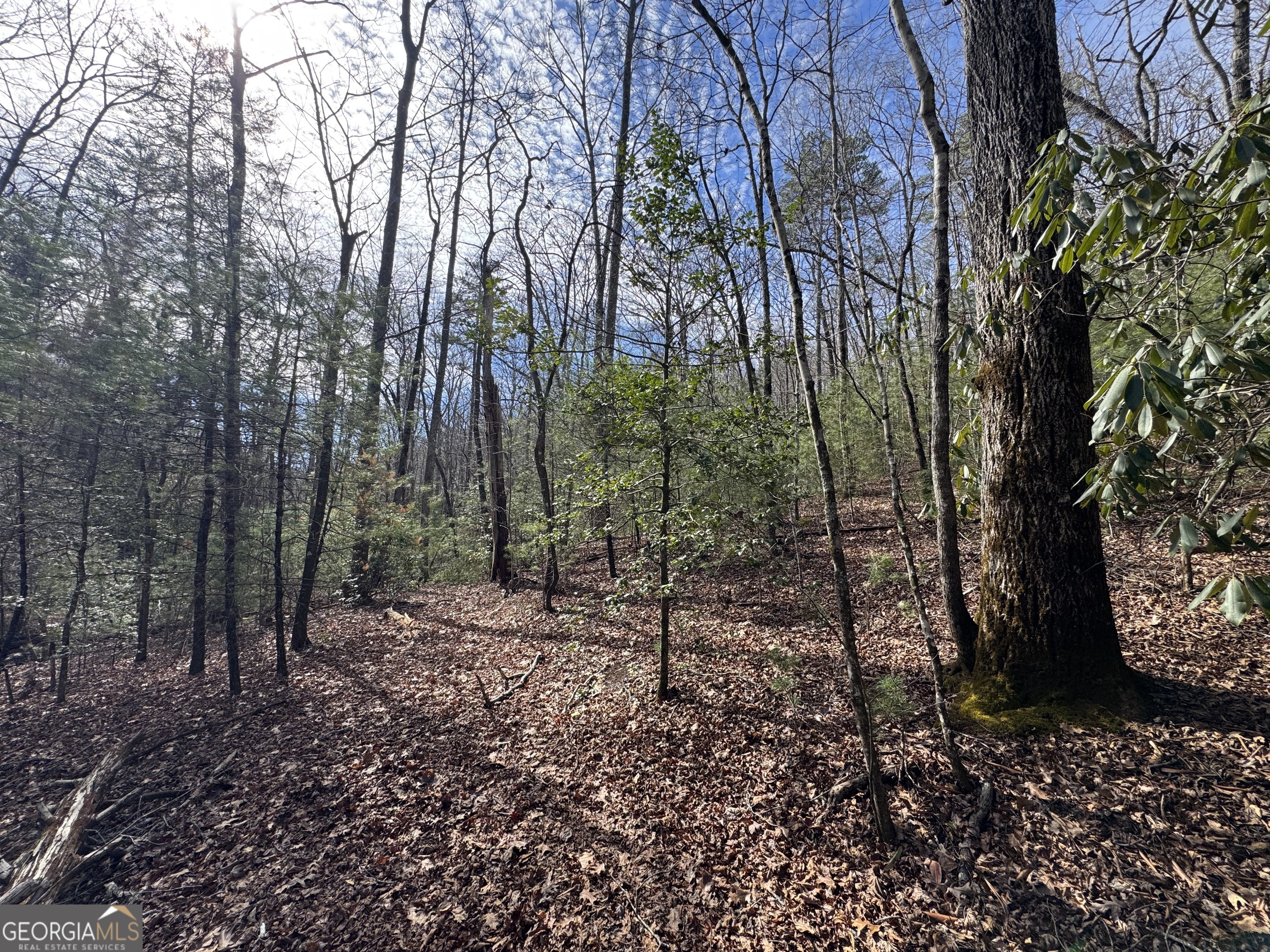 0 Mountain Lion Trail Helen GA 30545