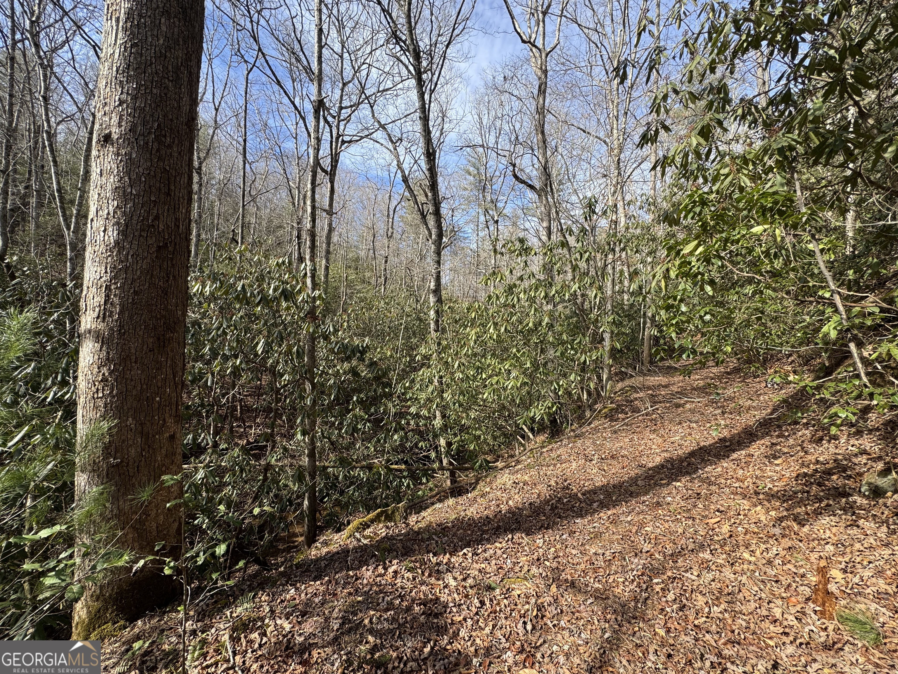 0 Mountain Lion Trail Helen GA 30545