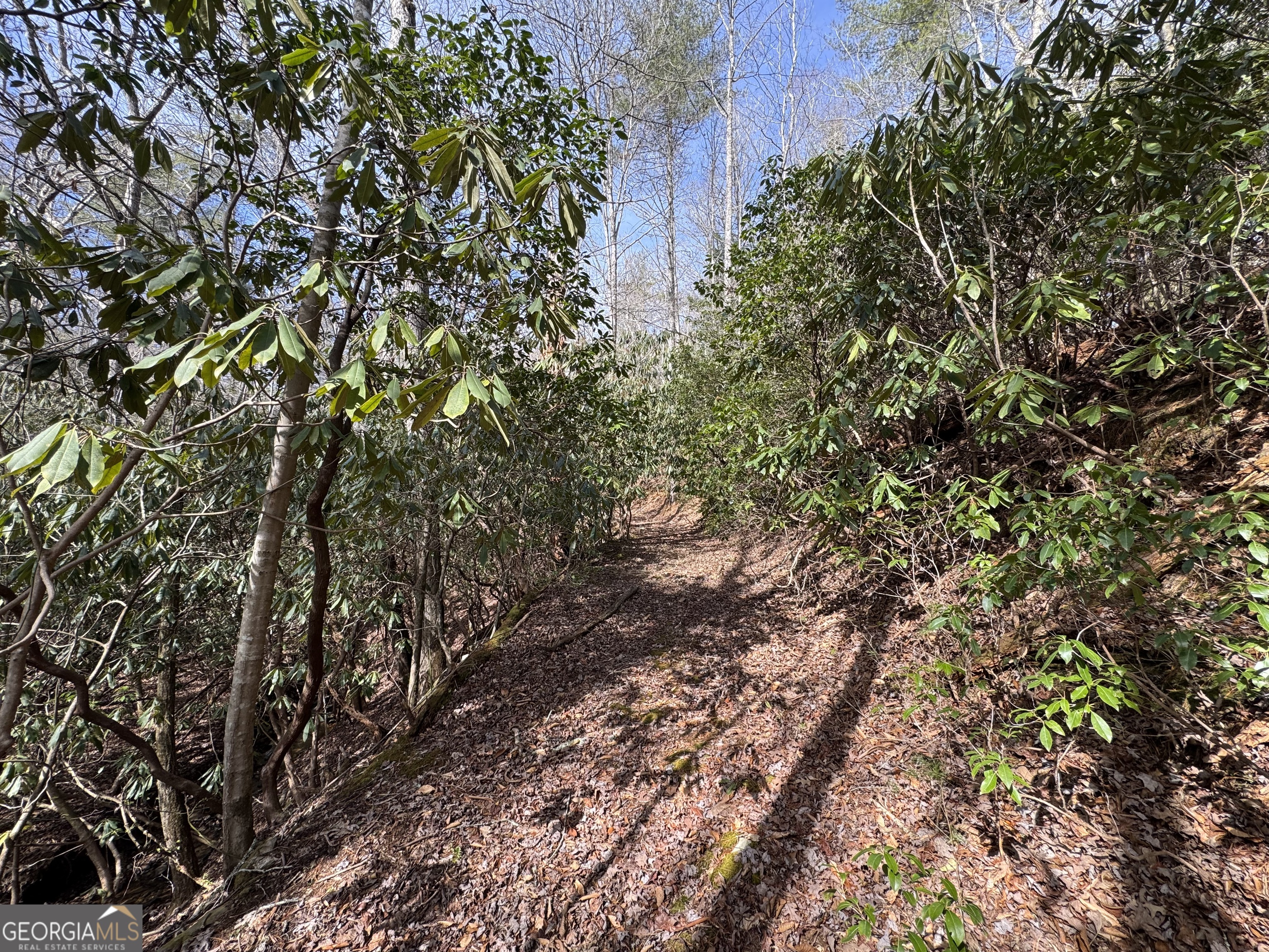 0 Mountain Lion Trail Helen GA 30545