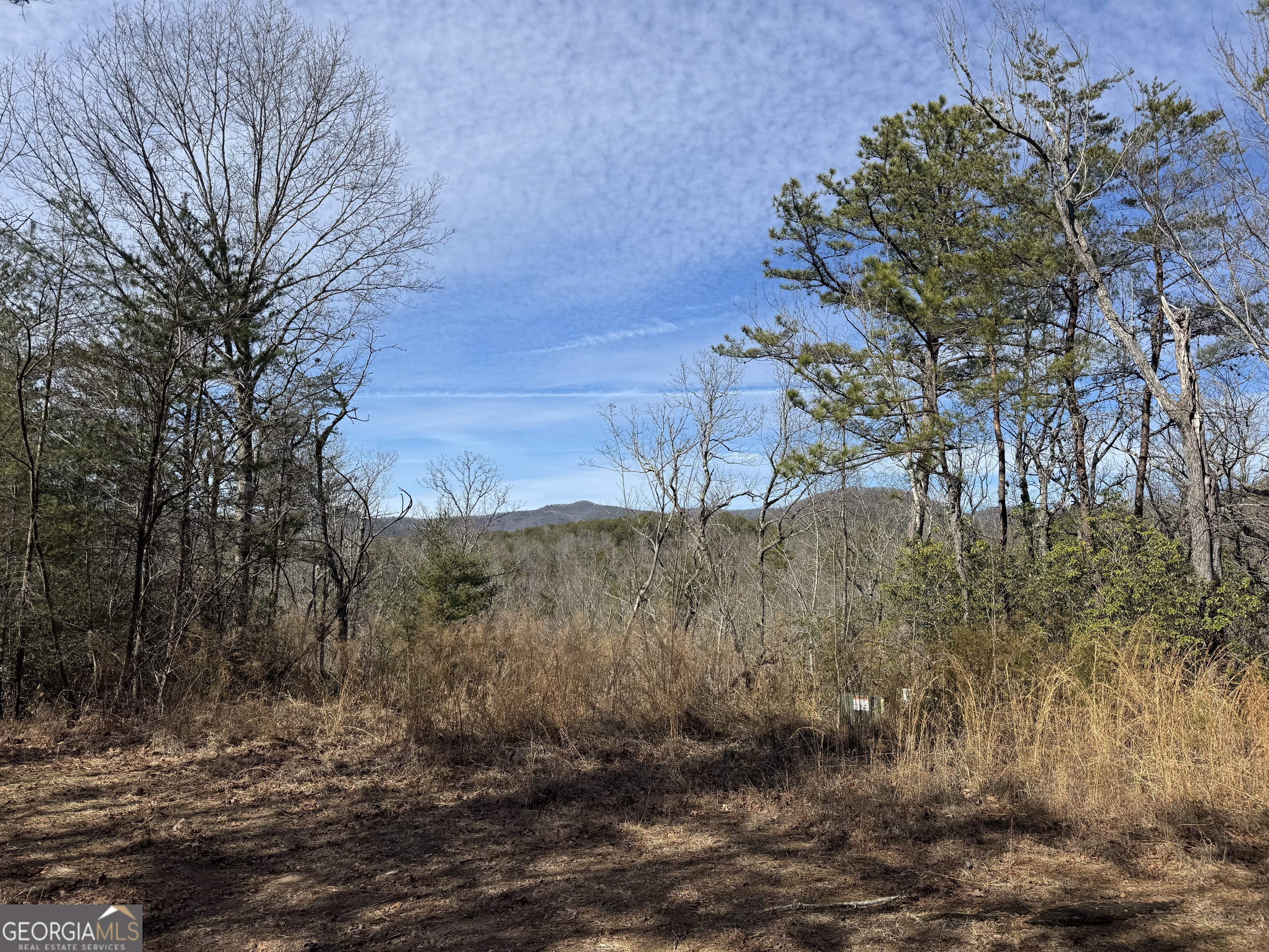 0 Mountain Lion Trail Helen GA 30545
