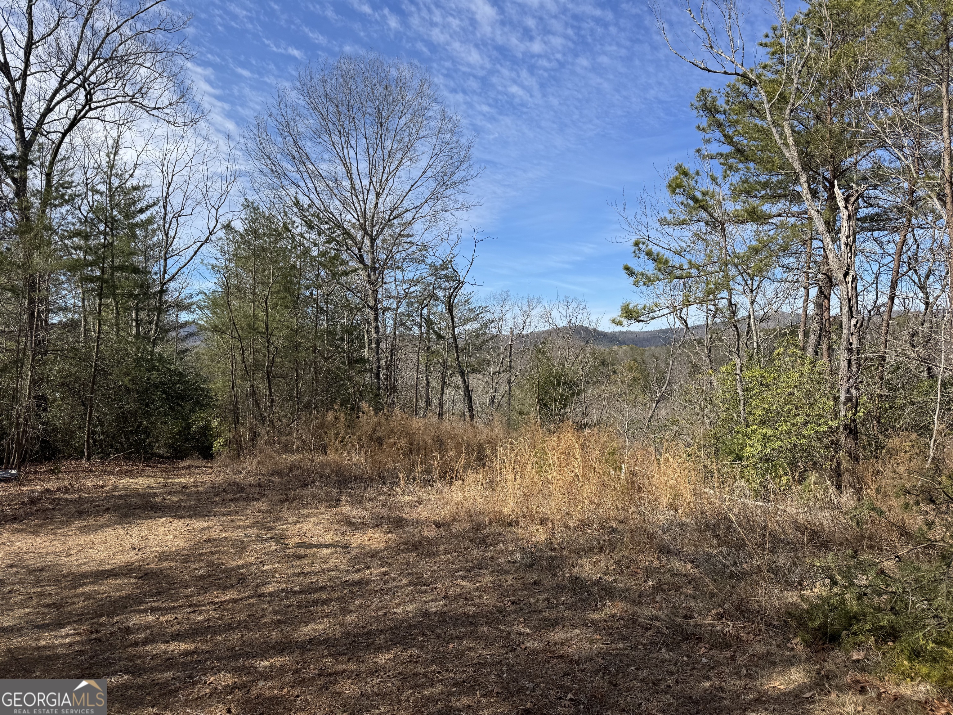 0 Mountain Lion Trail Helen GA 30545