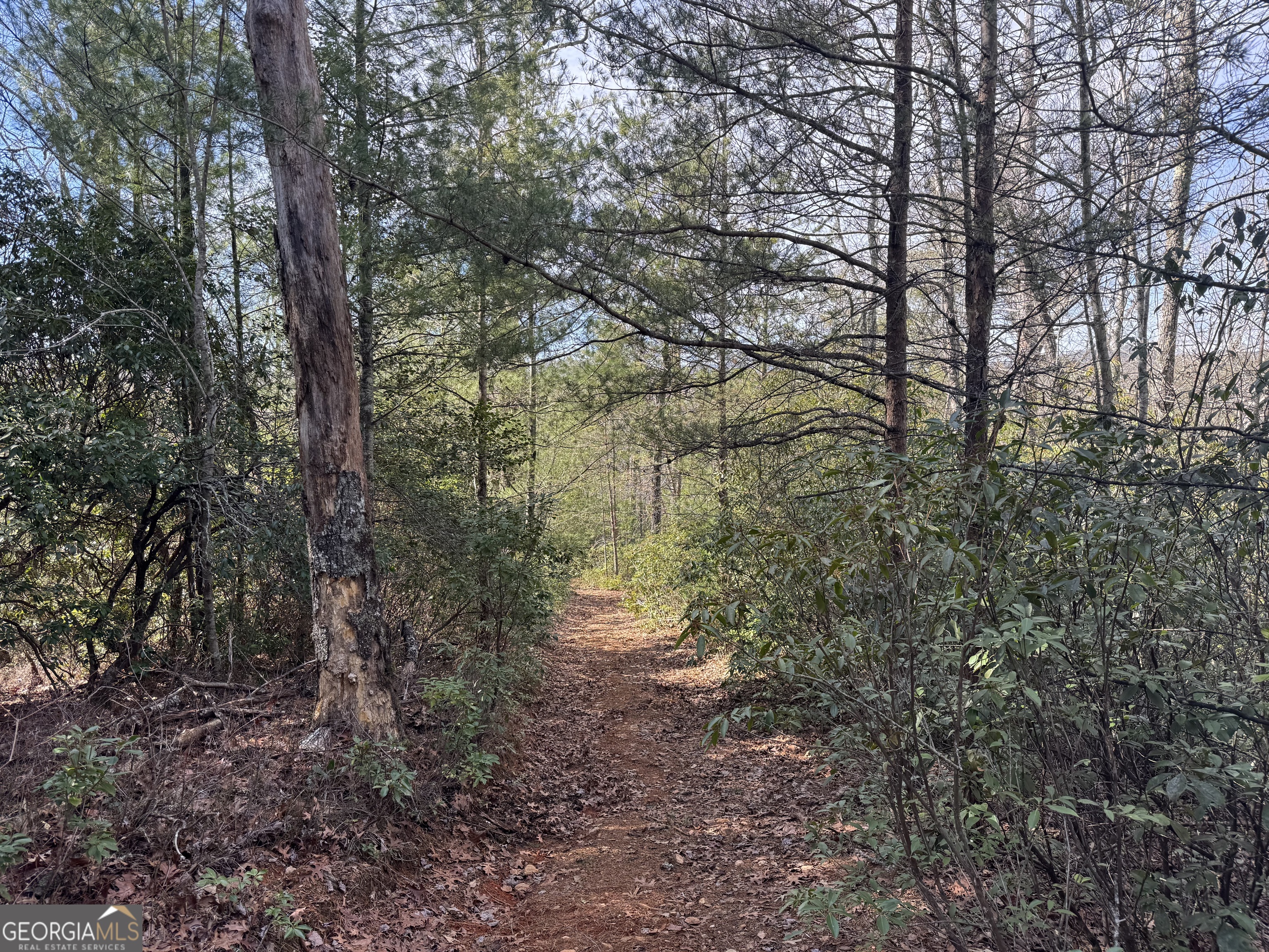 0 Mountain Lion Trail Helen GA 30545