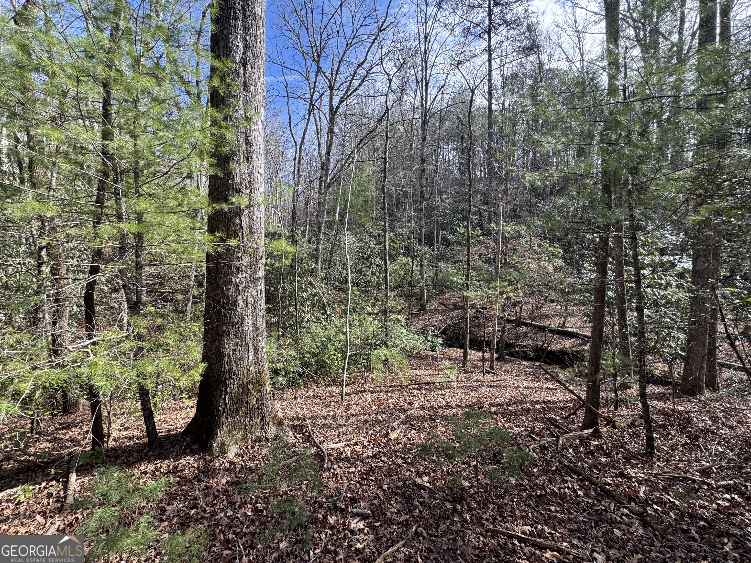 0 Mountain Lion Trail Helen GA 30545