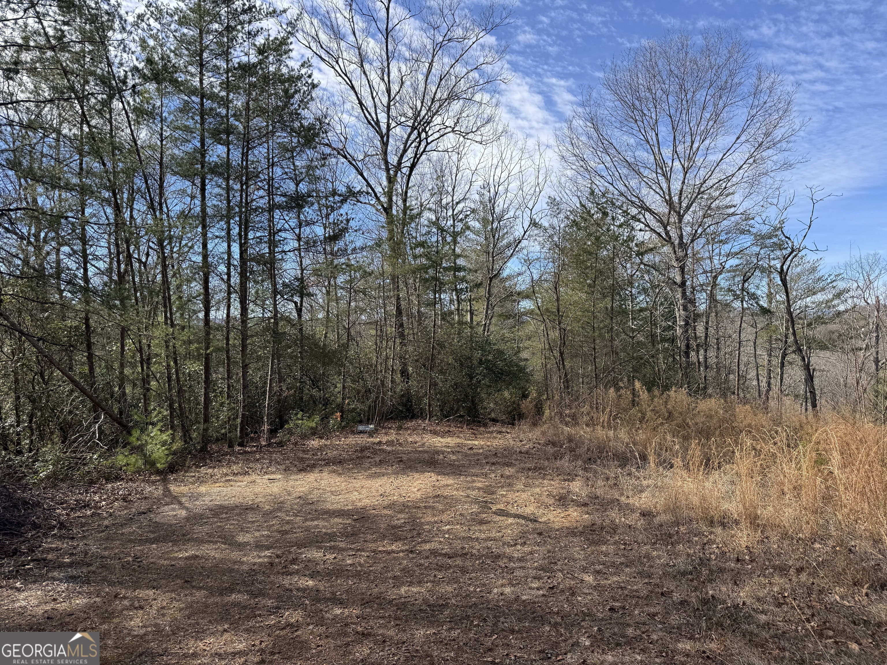 0 Mountain Lion Trail Helen GA 30545