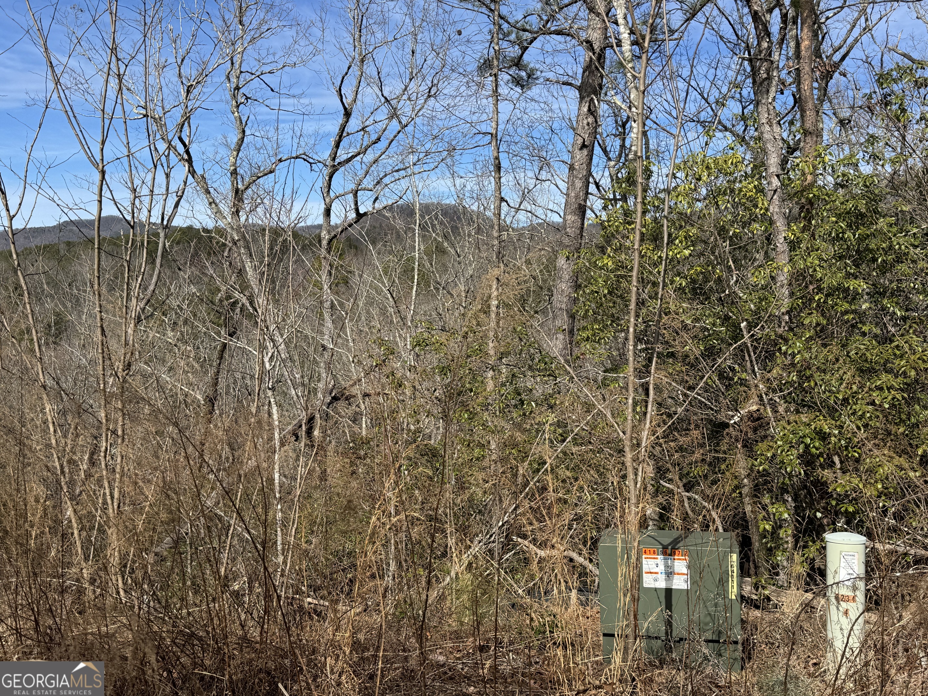 0 Mountain Lion Trail Helen GA 30545