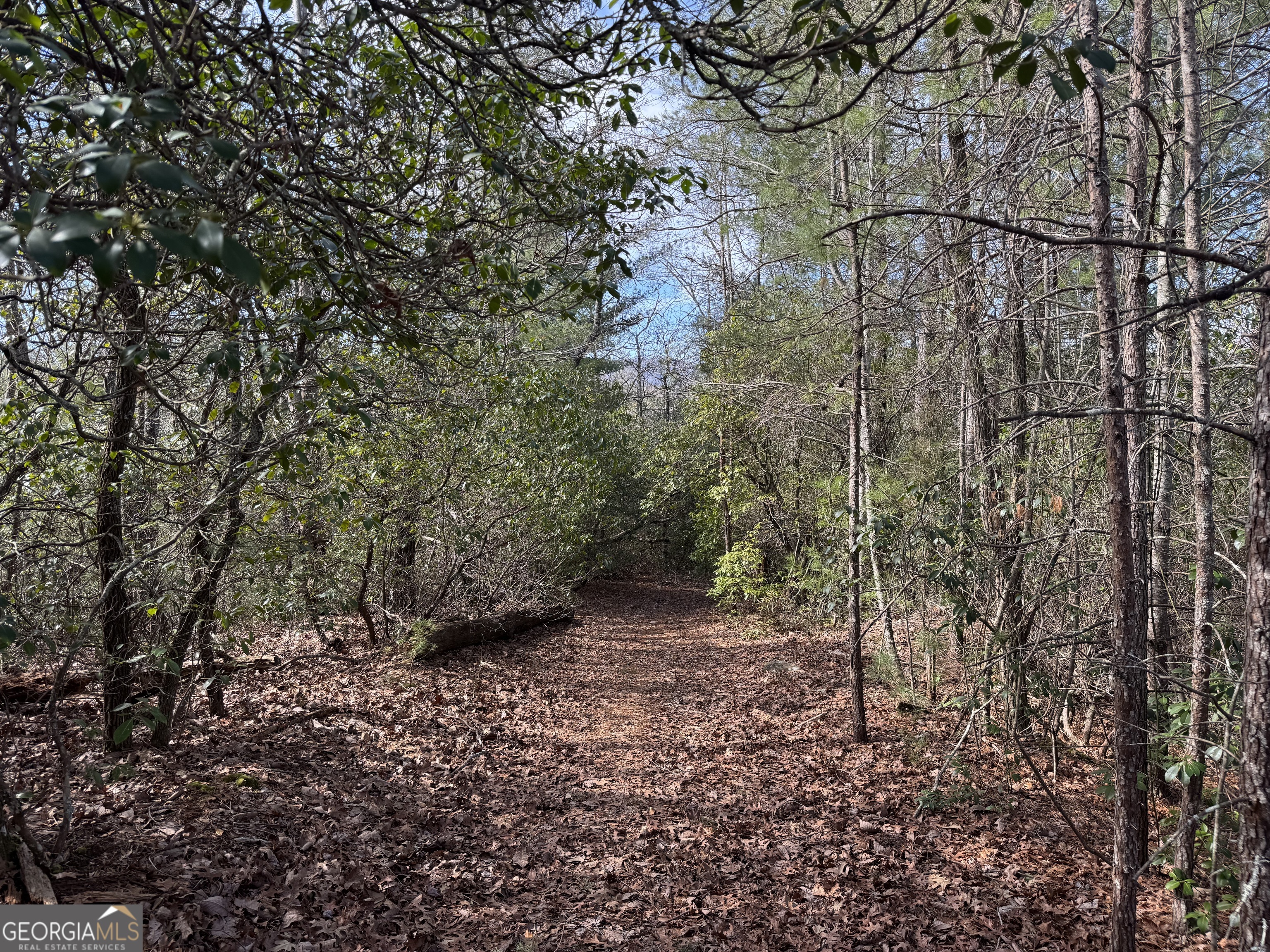 0 Mountain Lion Trail Helen GA 30545