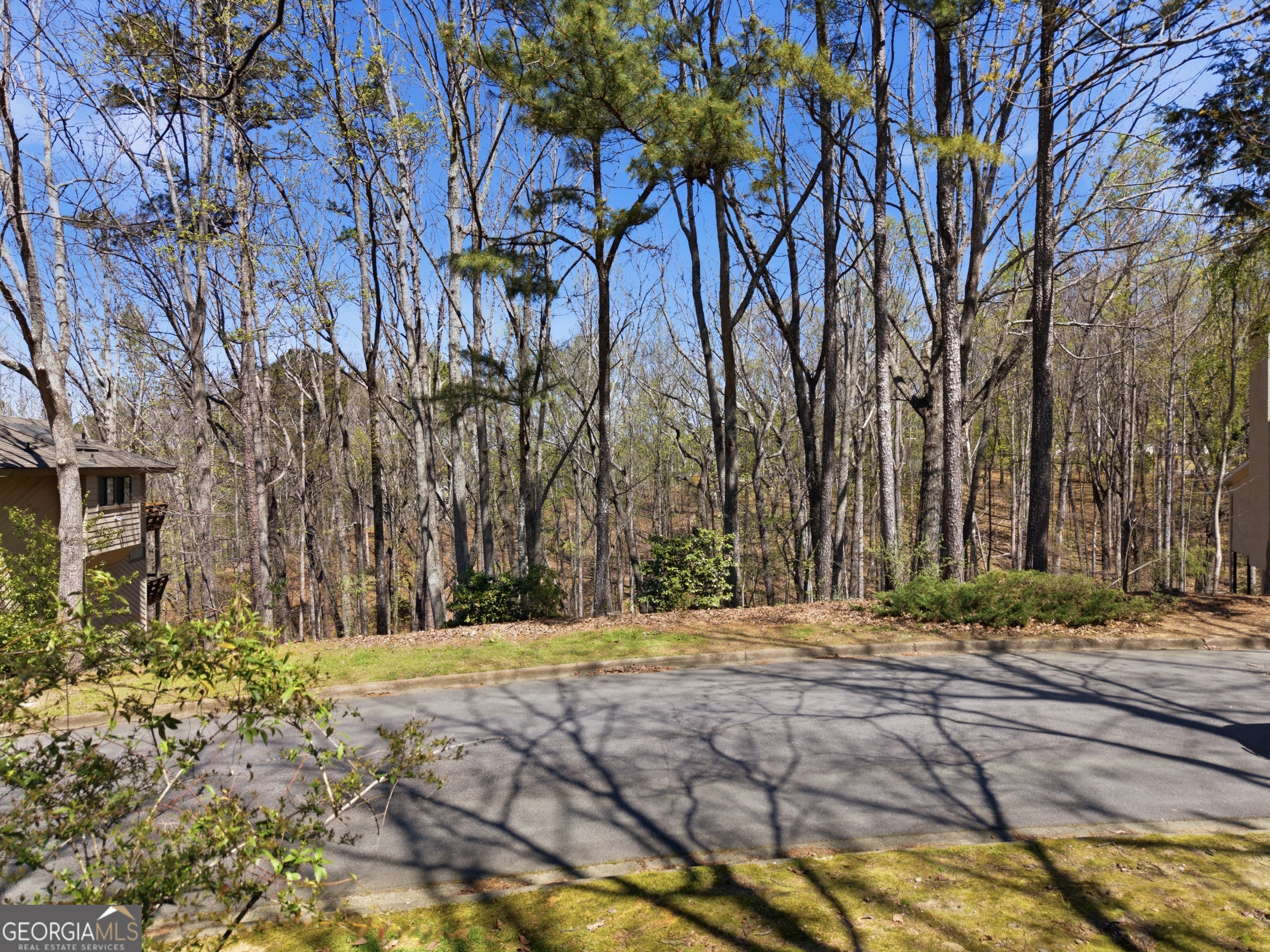 335 N Peak Drive Johns Creek GA 30022