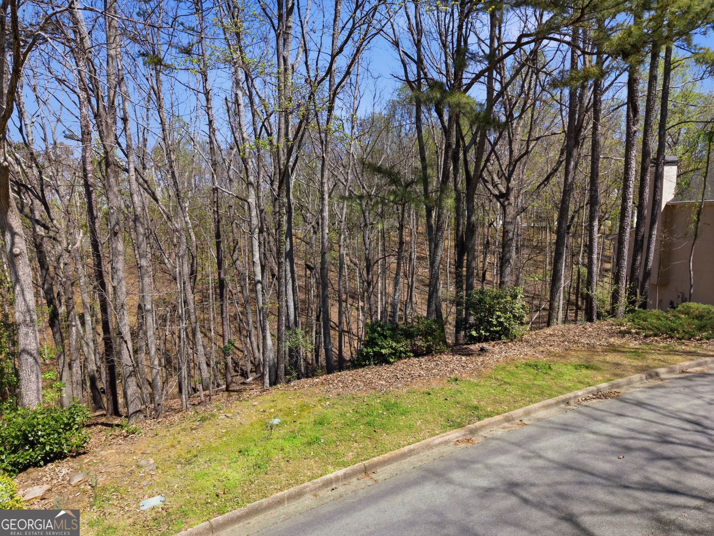 335 N Peak Drive Johns Creek GA 30022