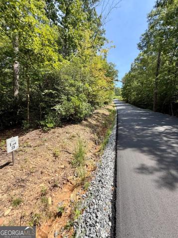 Lot 21 Turquoise Ridge Blue Ridge GA 30513