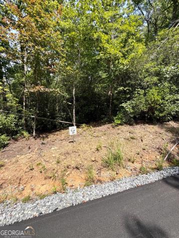 Lot 21 Turquoise Ridge Blue Ridge GA 30513