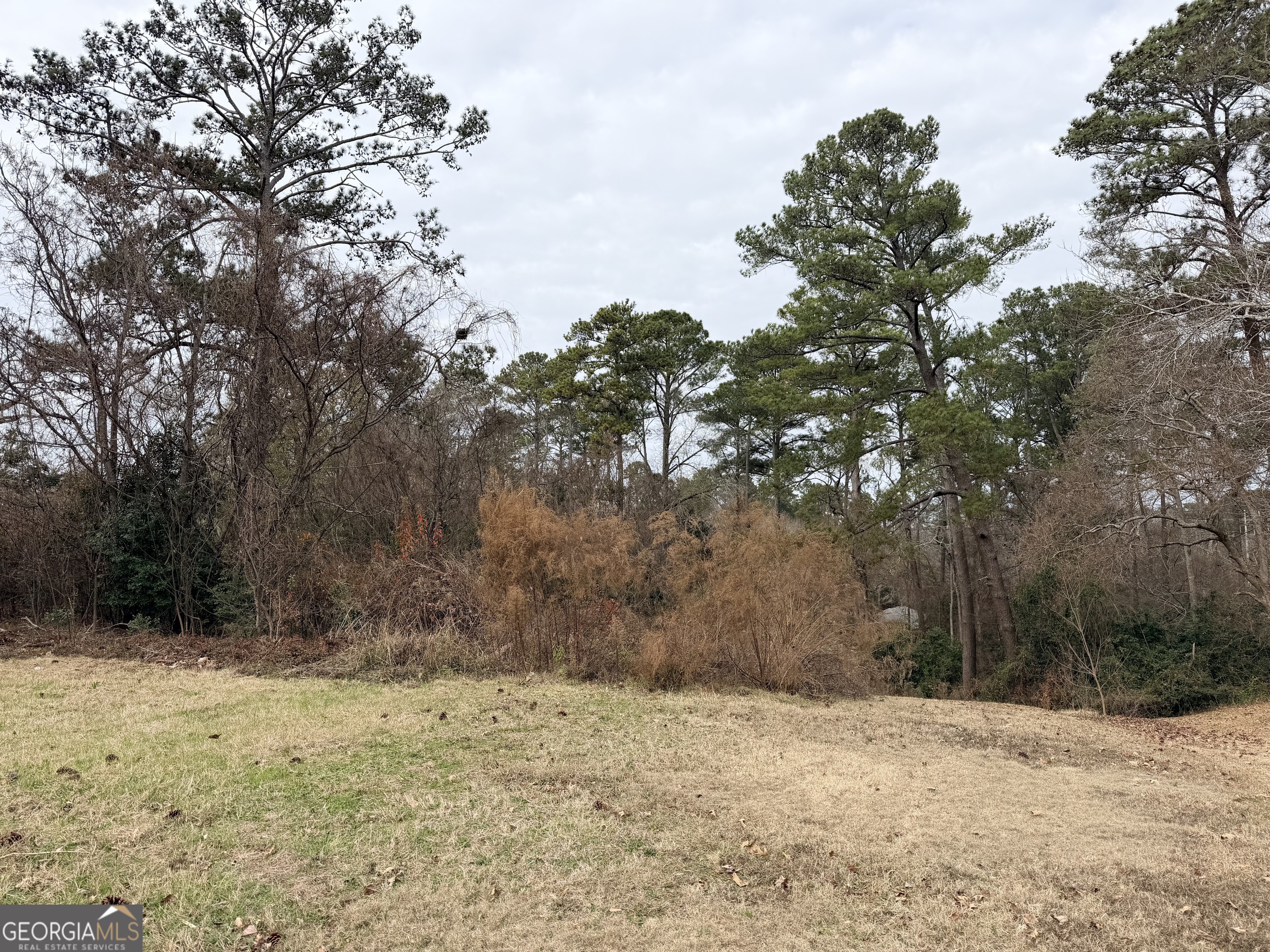 103 Shenandoah Trail Warner Robins GA 31088