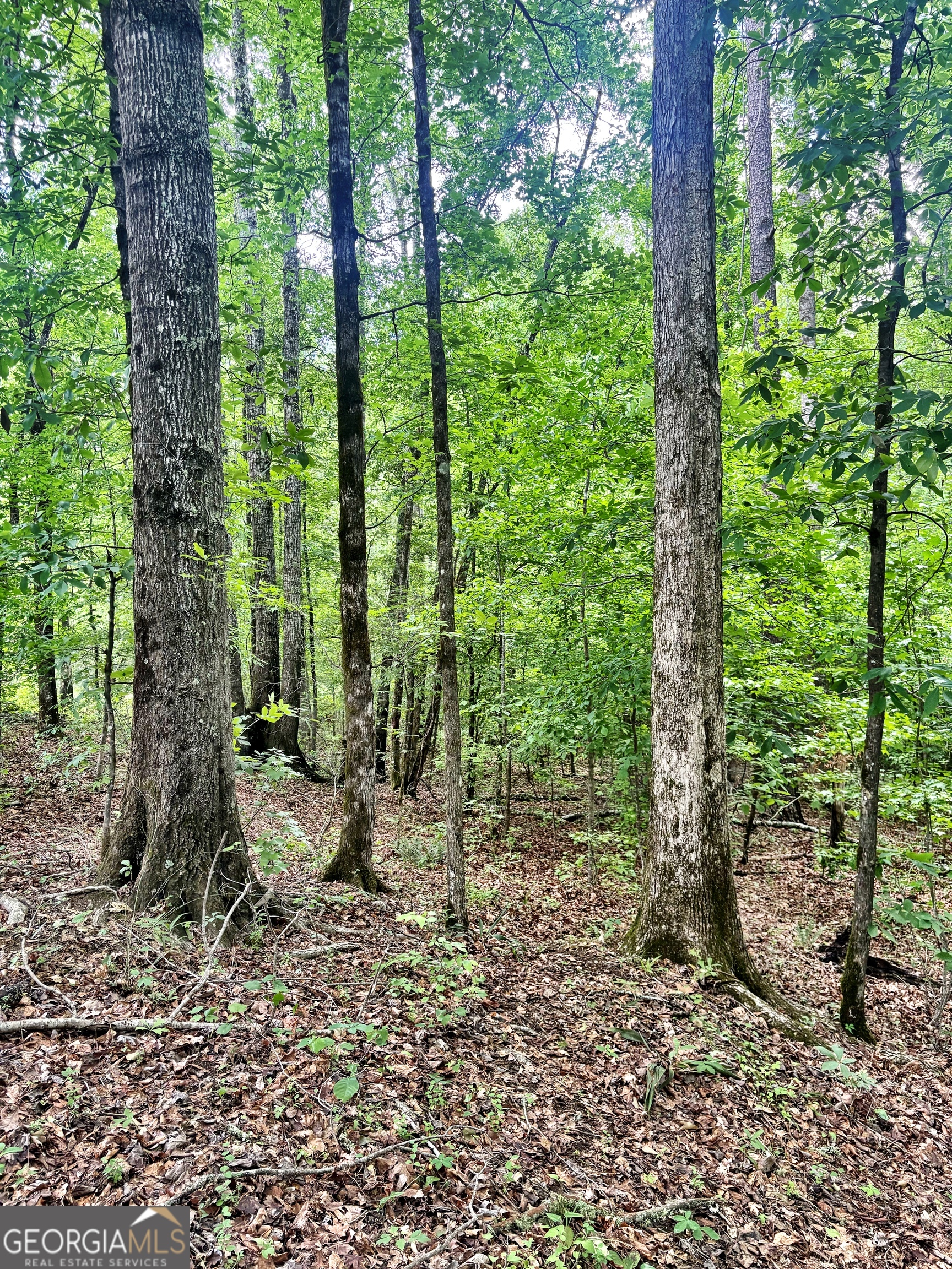0 Wilson Way Musella GA 31066