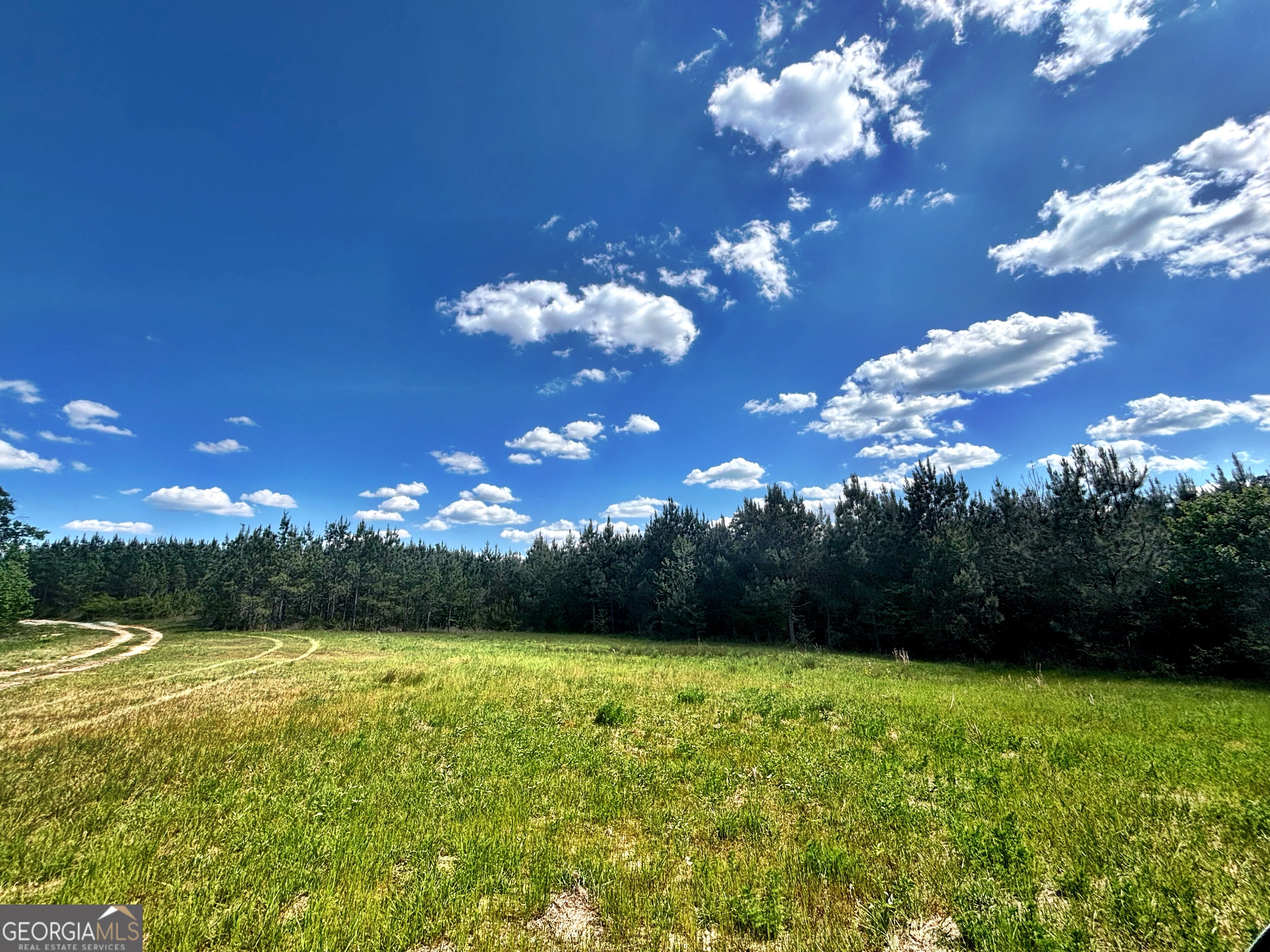 0 Wilson Way Musella GA 31066
