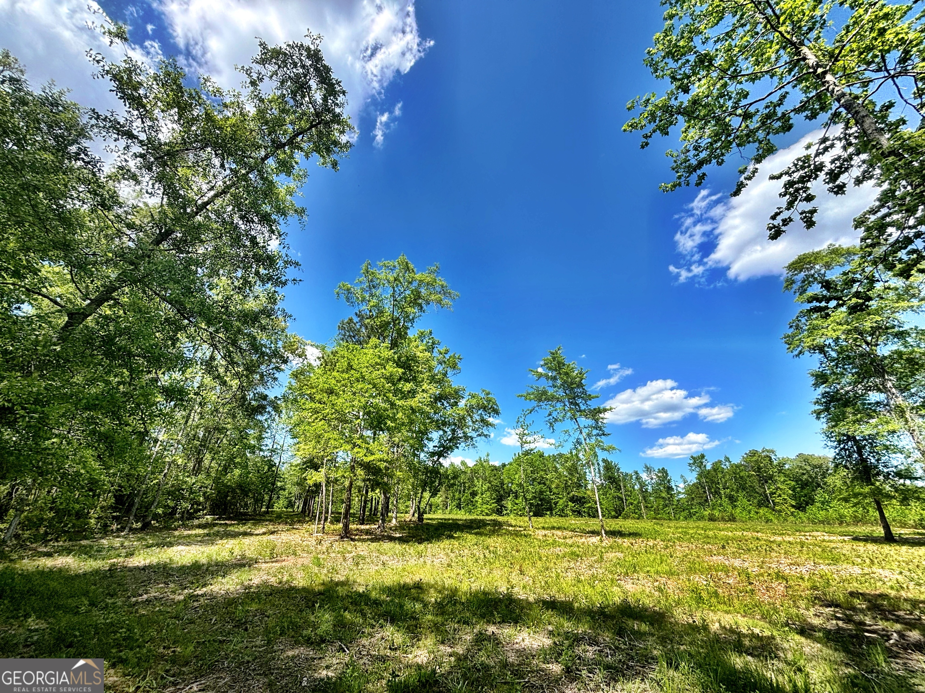 0 Wilson Way Musella GA 31066