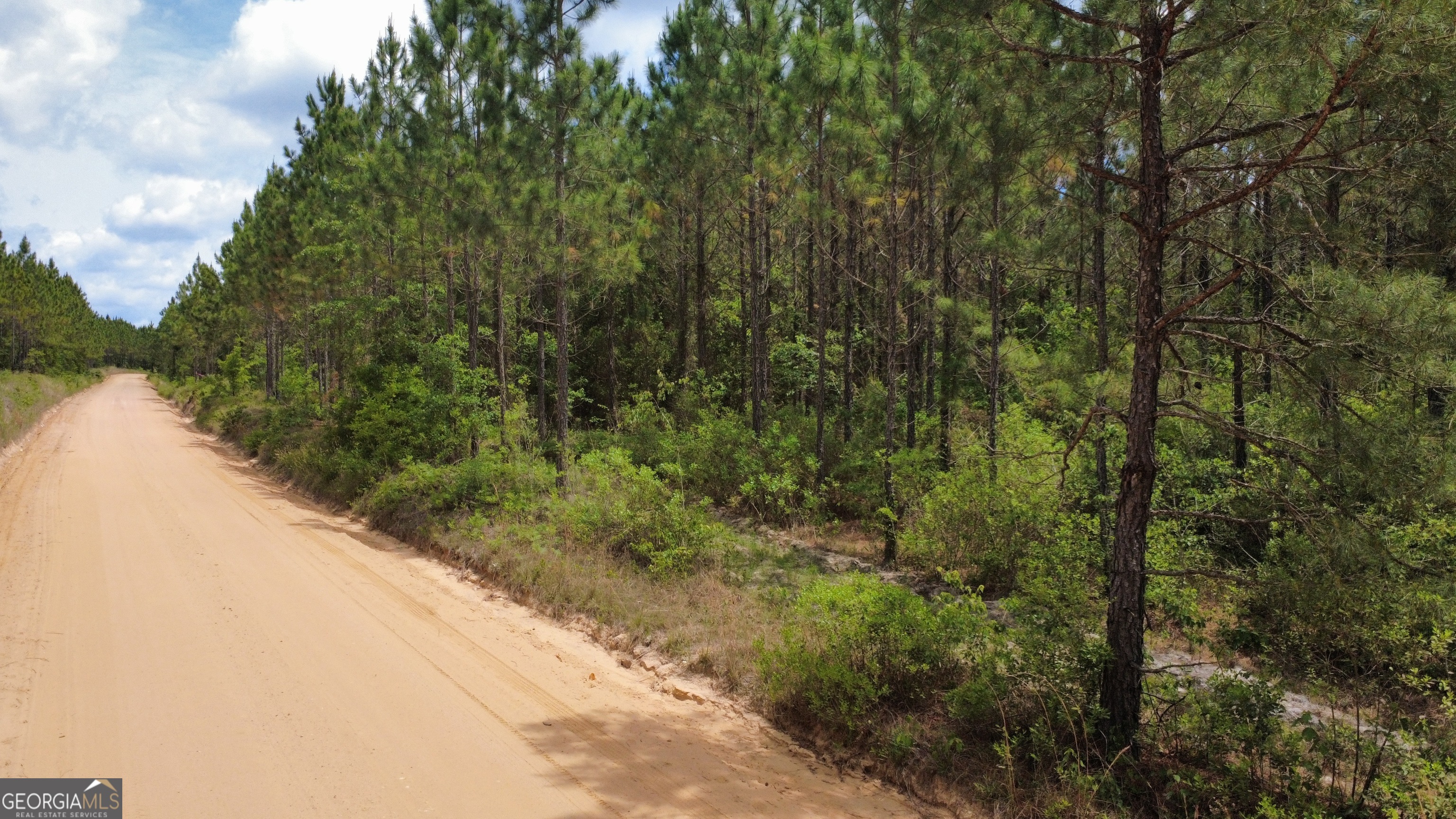 0 Sunflower Road Fitzgerald GA 31750