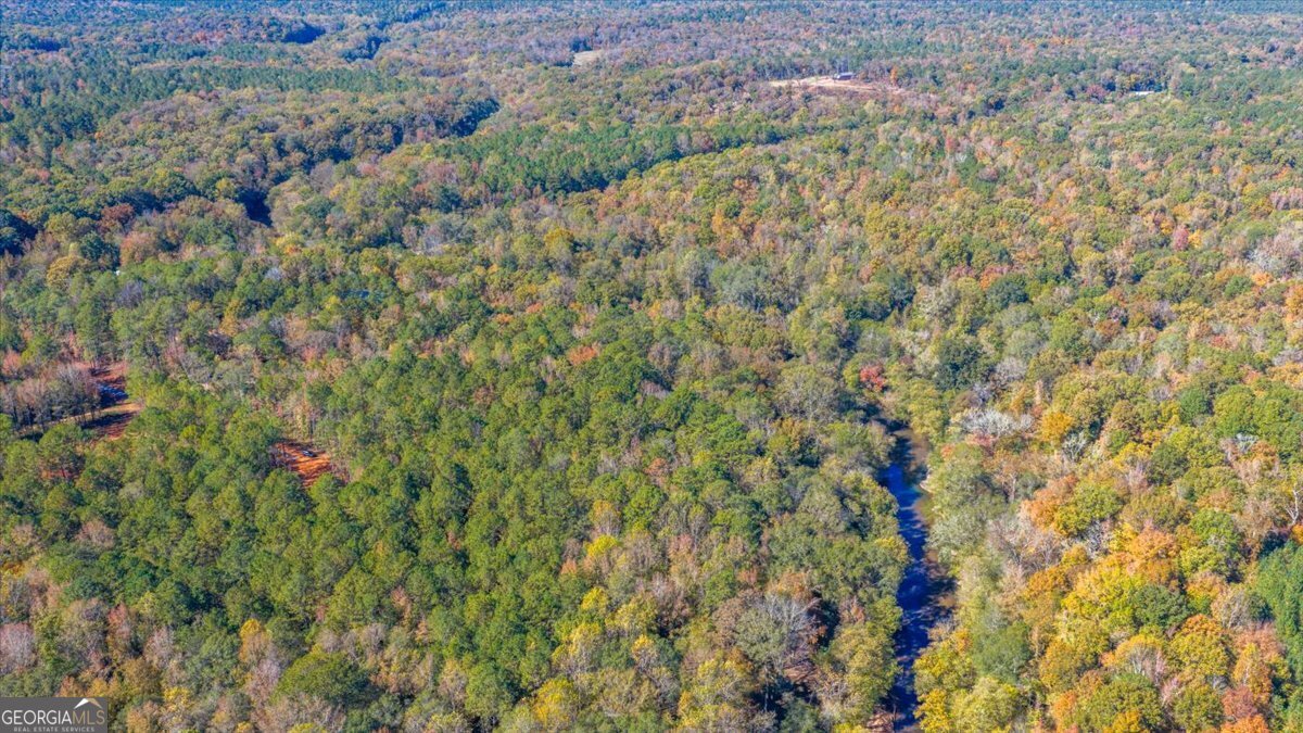 3471 Ga Highway 42 N Forsyth GA 31029