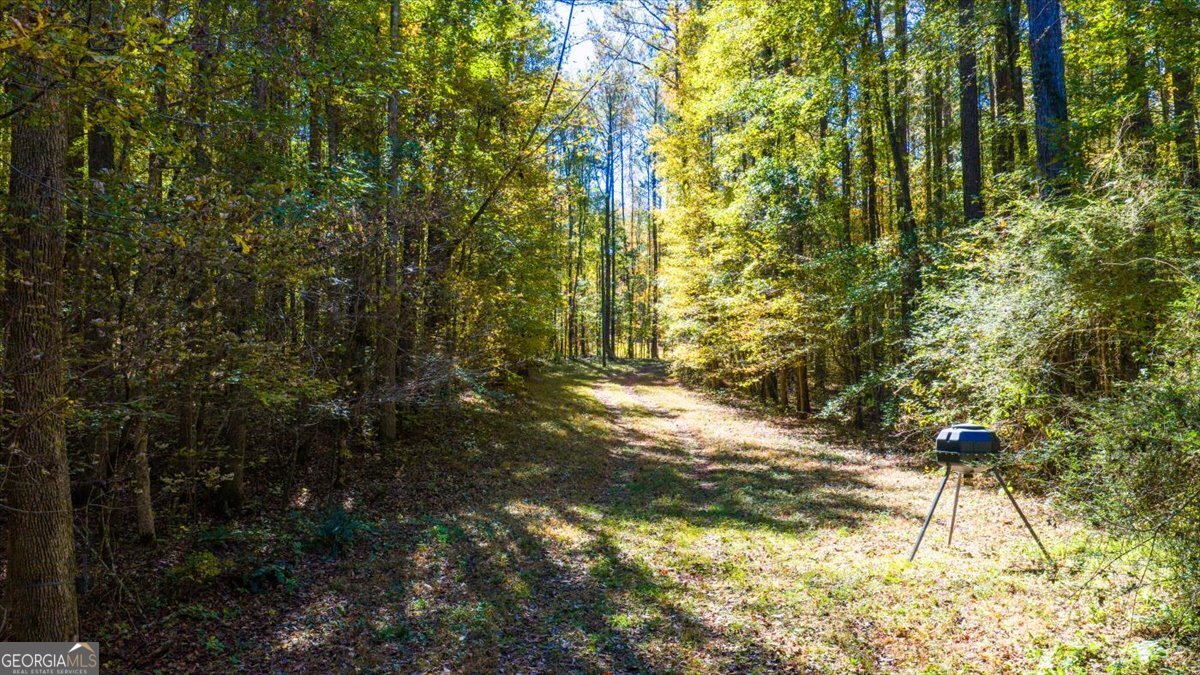 3471 Ga Highway 42 N Forsyth GA 31029