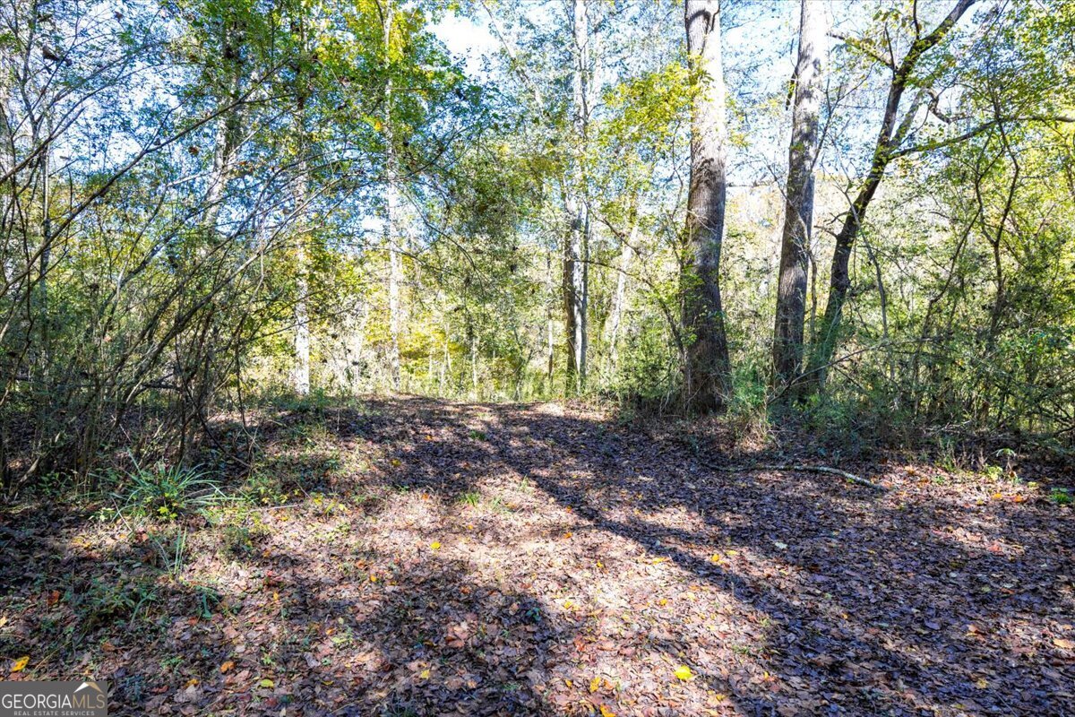 3471 Ga Highway 42 N Forsyth GA 31029
