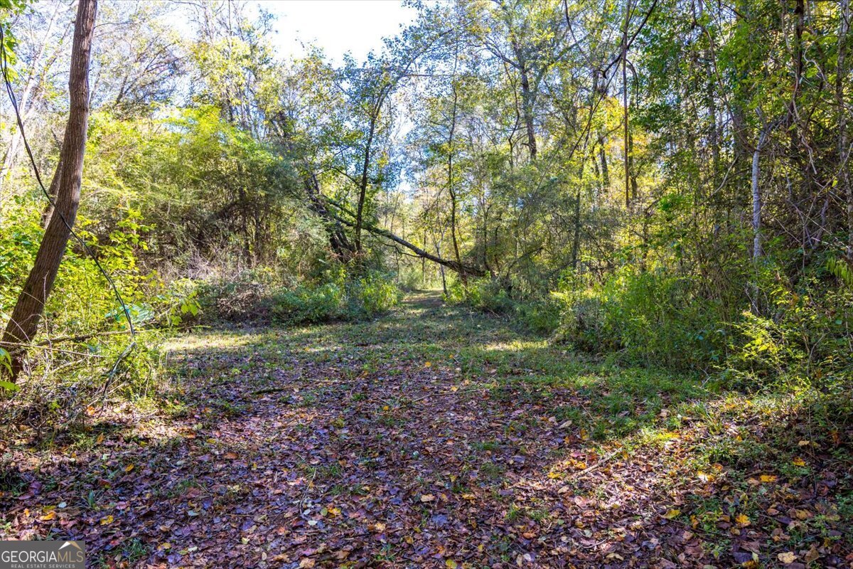 3471 Ga Highway 42 N Forsyth GA 31029