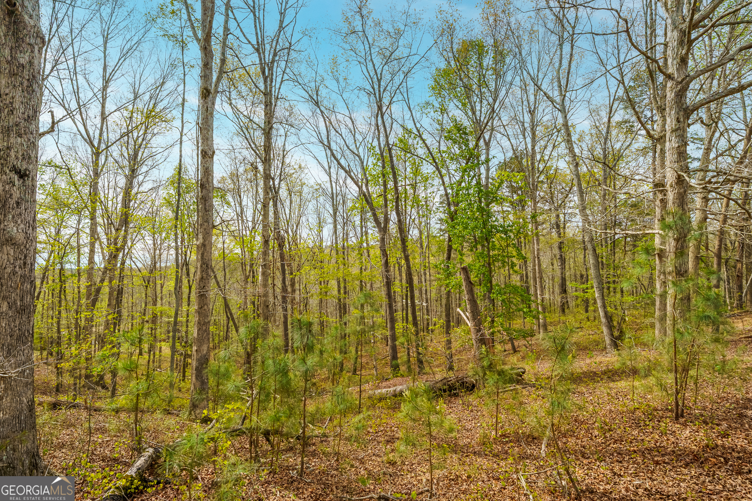 3467 Carver Mill Road Talking Rock GA 30175