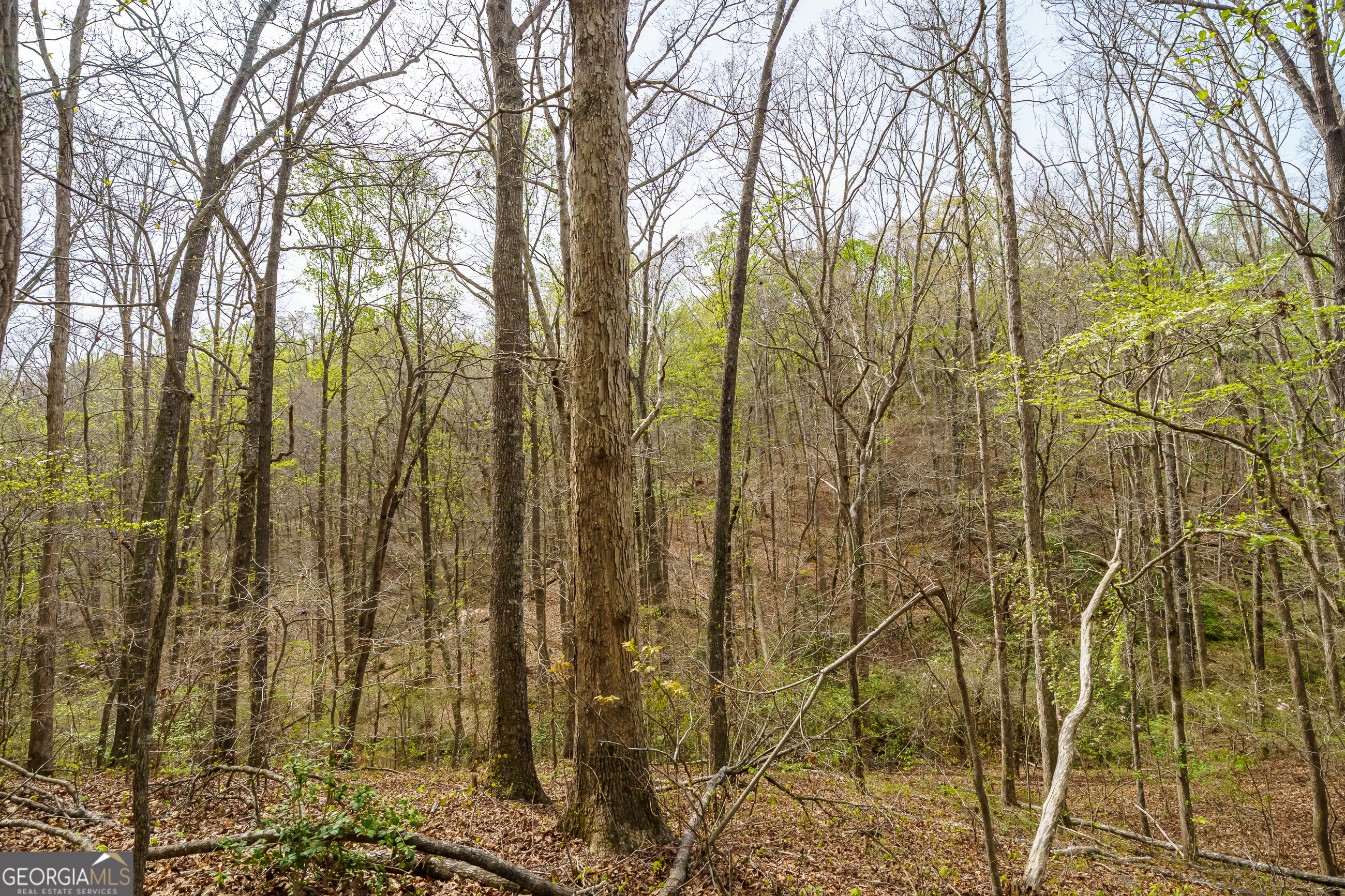 3467 Carver Mill Road Talking Rock GA 30175