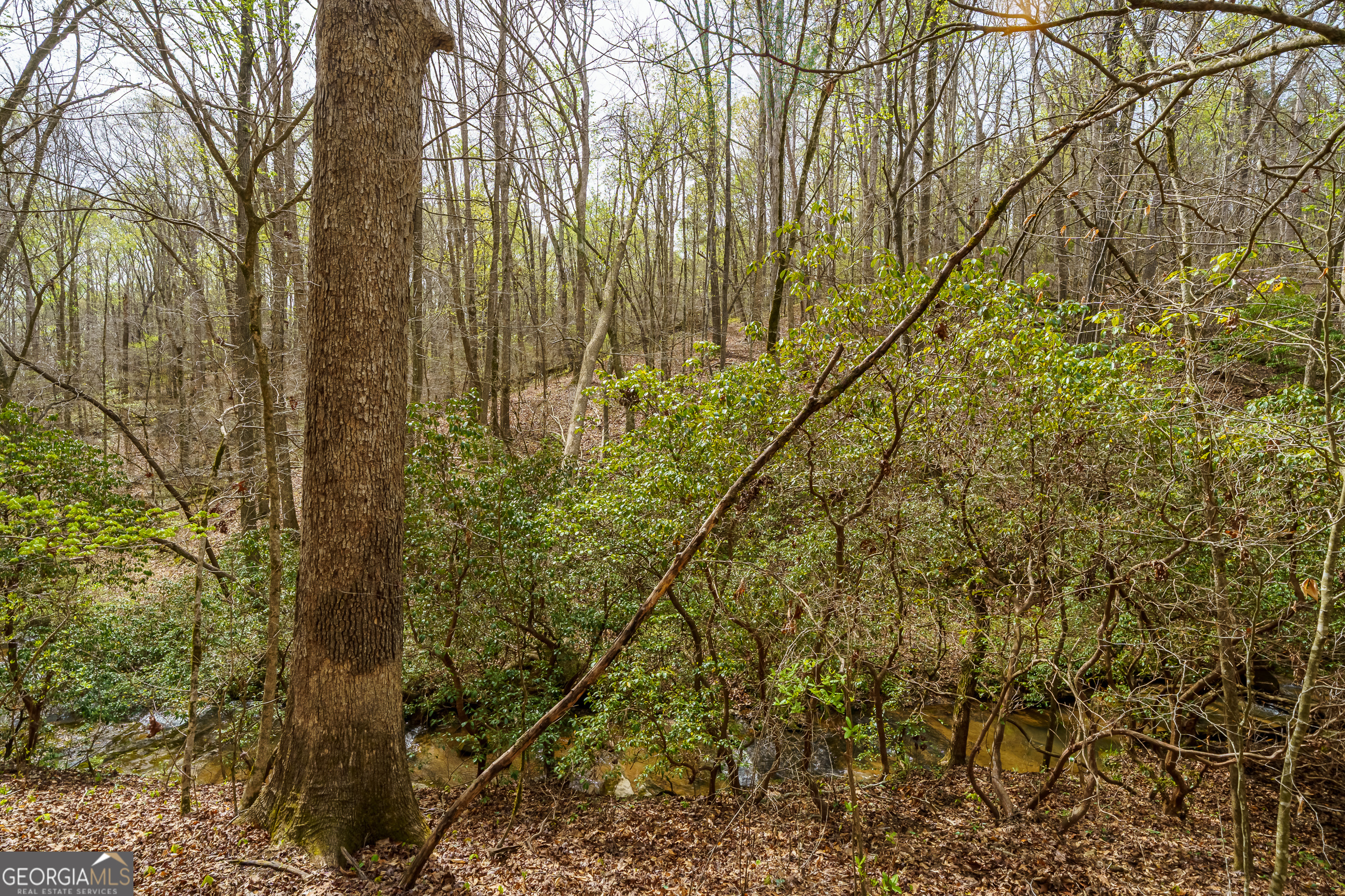 3467 Carver Mill Road Talking Rock GA 30175
