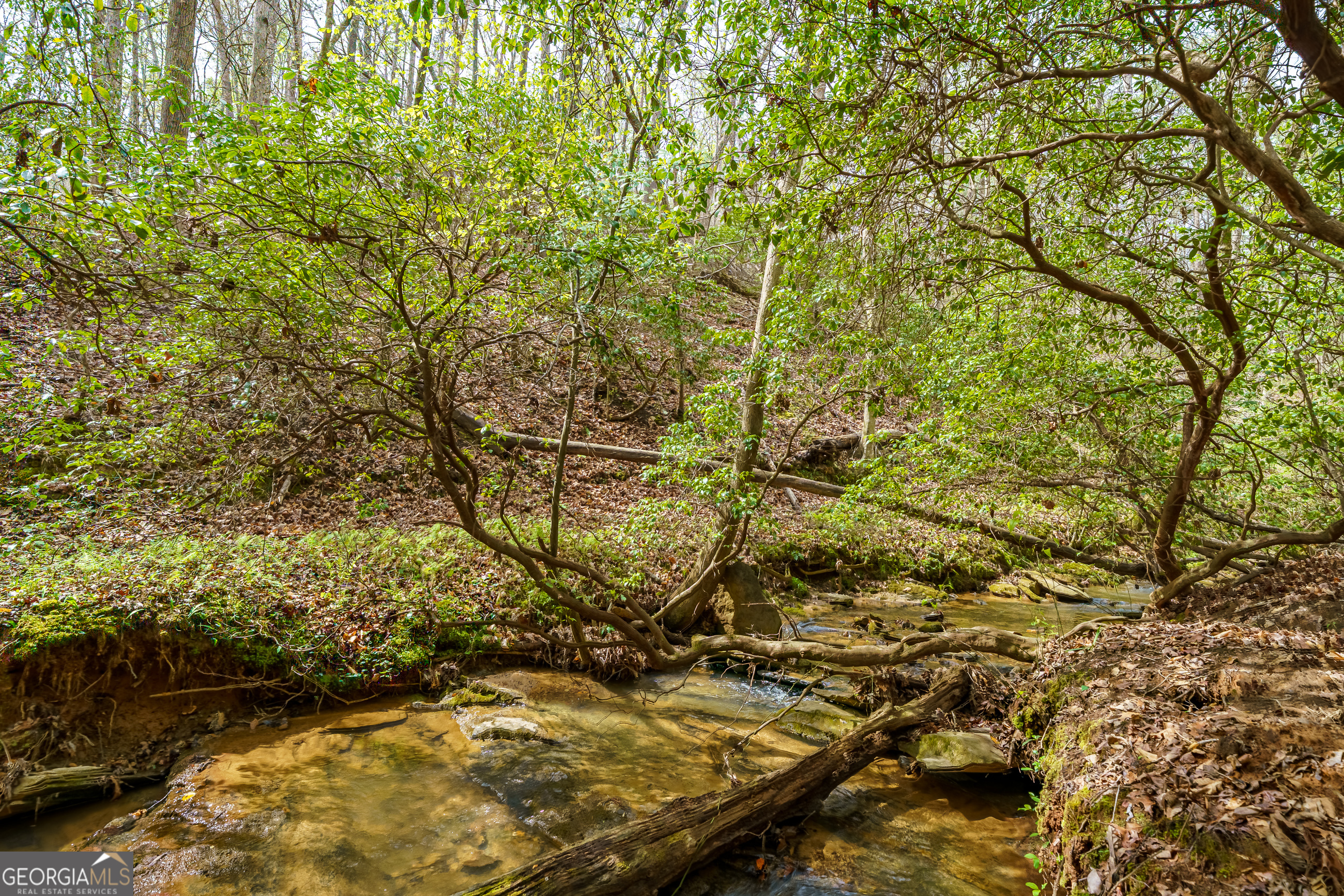 3467 Carver Mill Road Talking Rock GA 30175