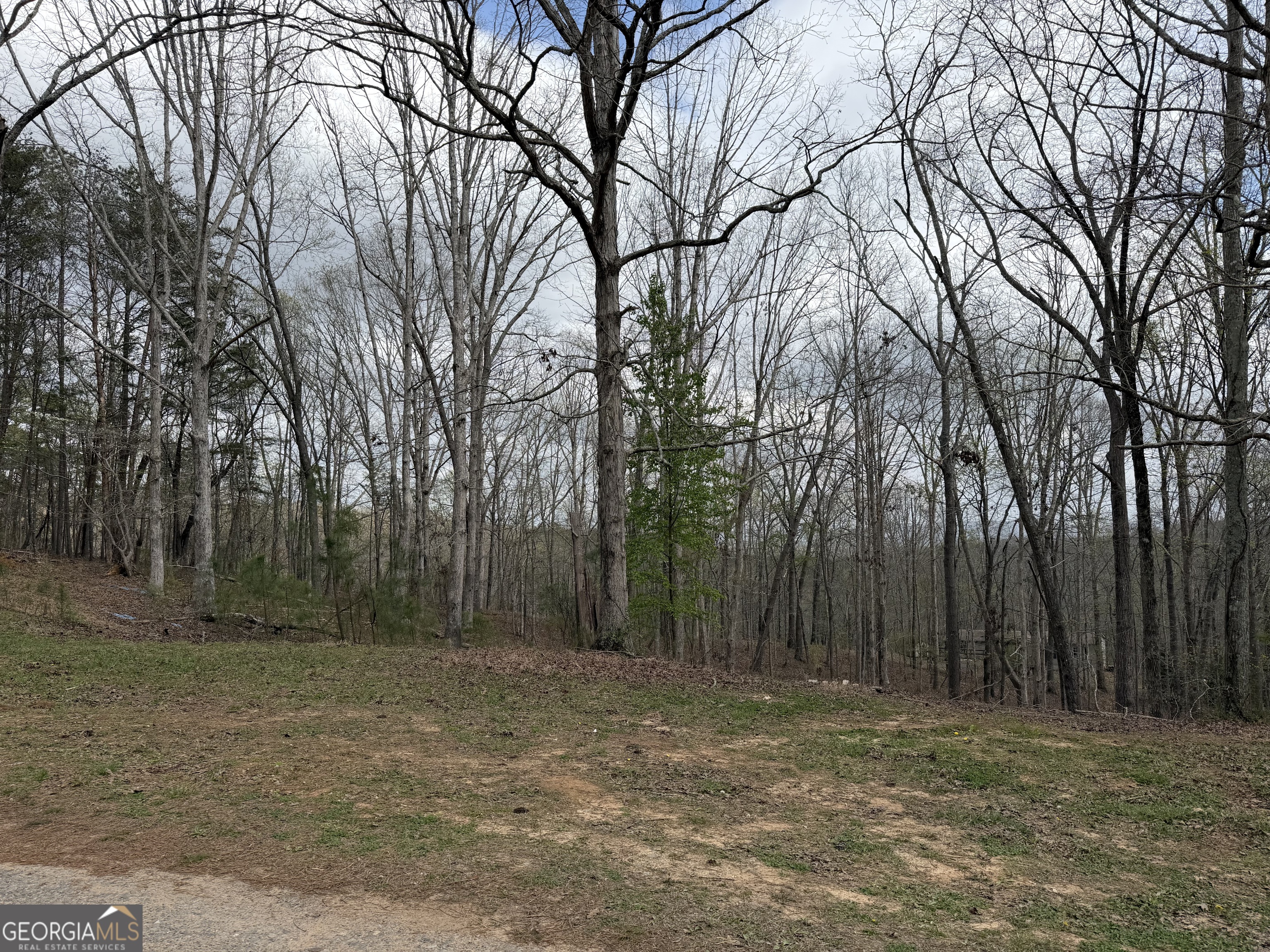 3467 Carver Mill Road Talking Rock GA 30175