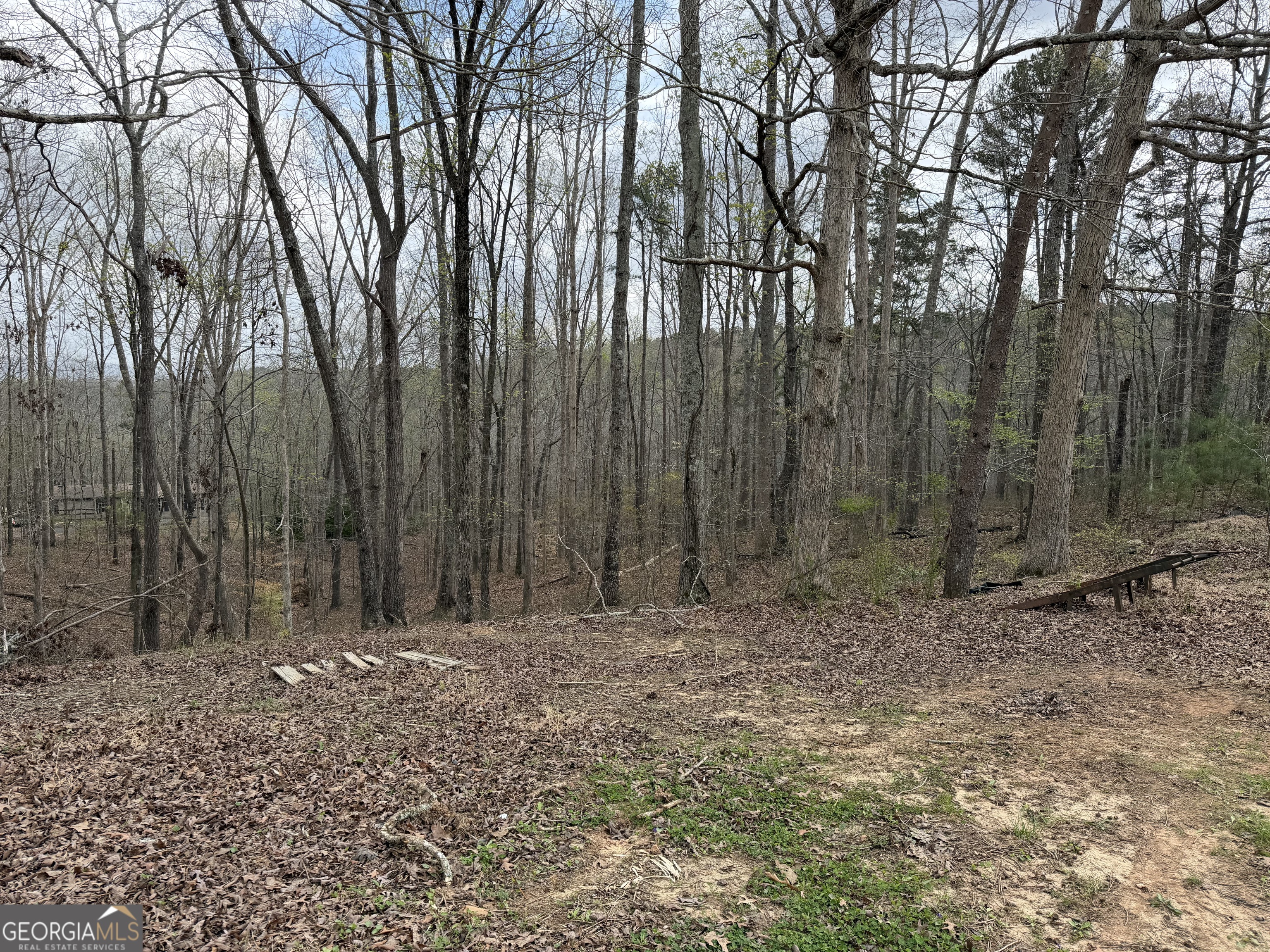 3467 Carver Mill Road Talking Rock GA 30175