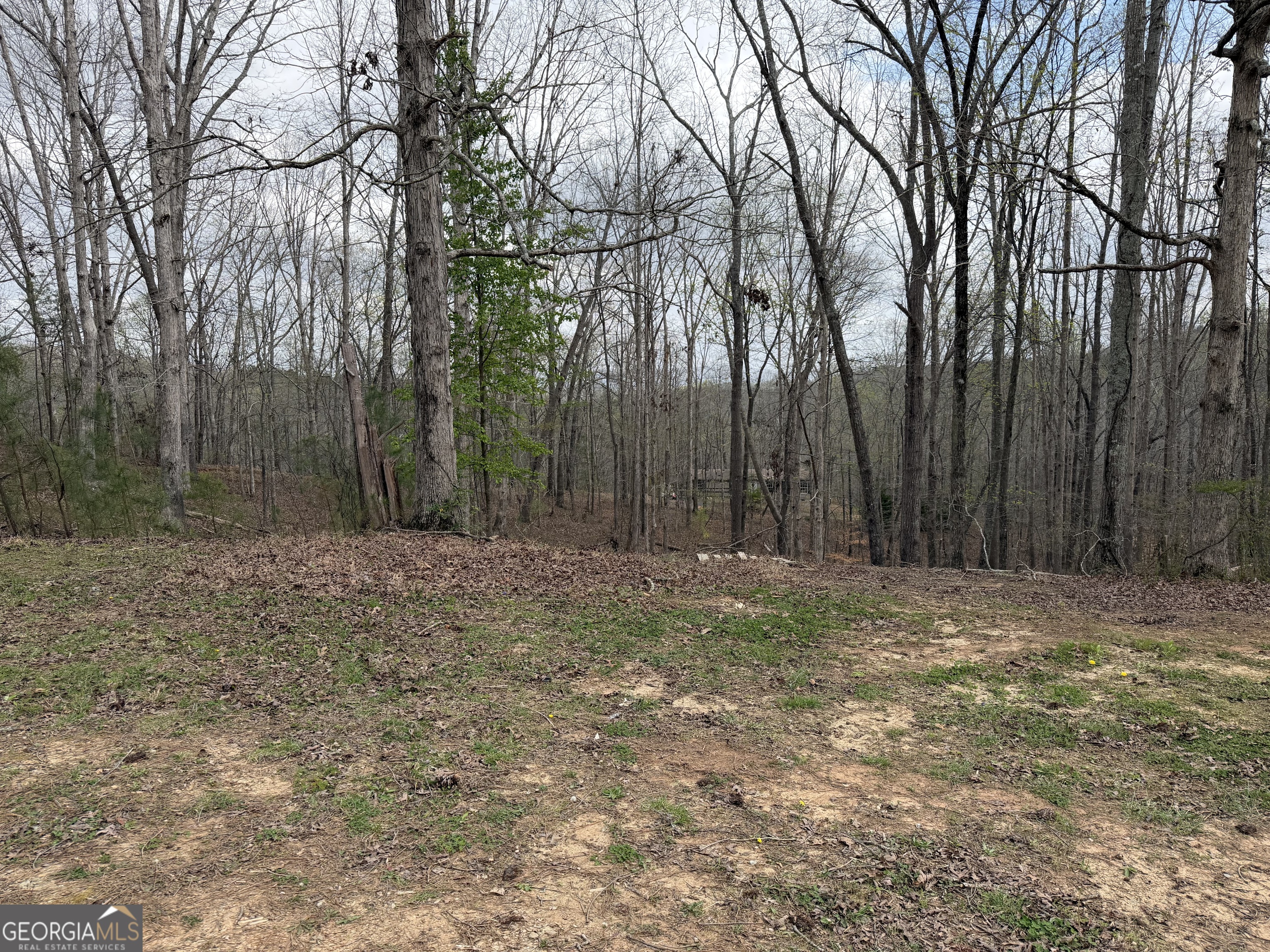 3467 Carver Mill Road Talking Rock GA 30175