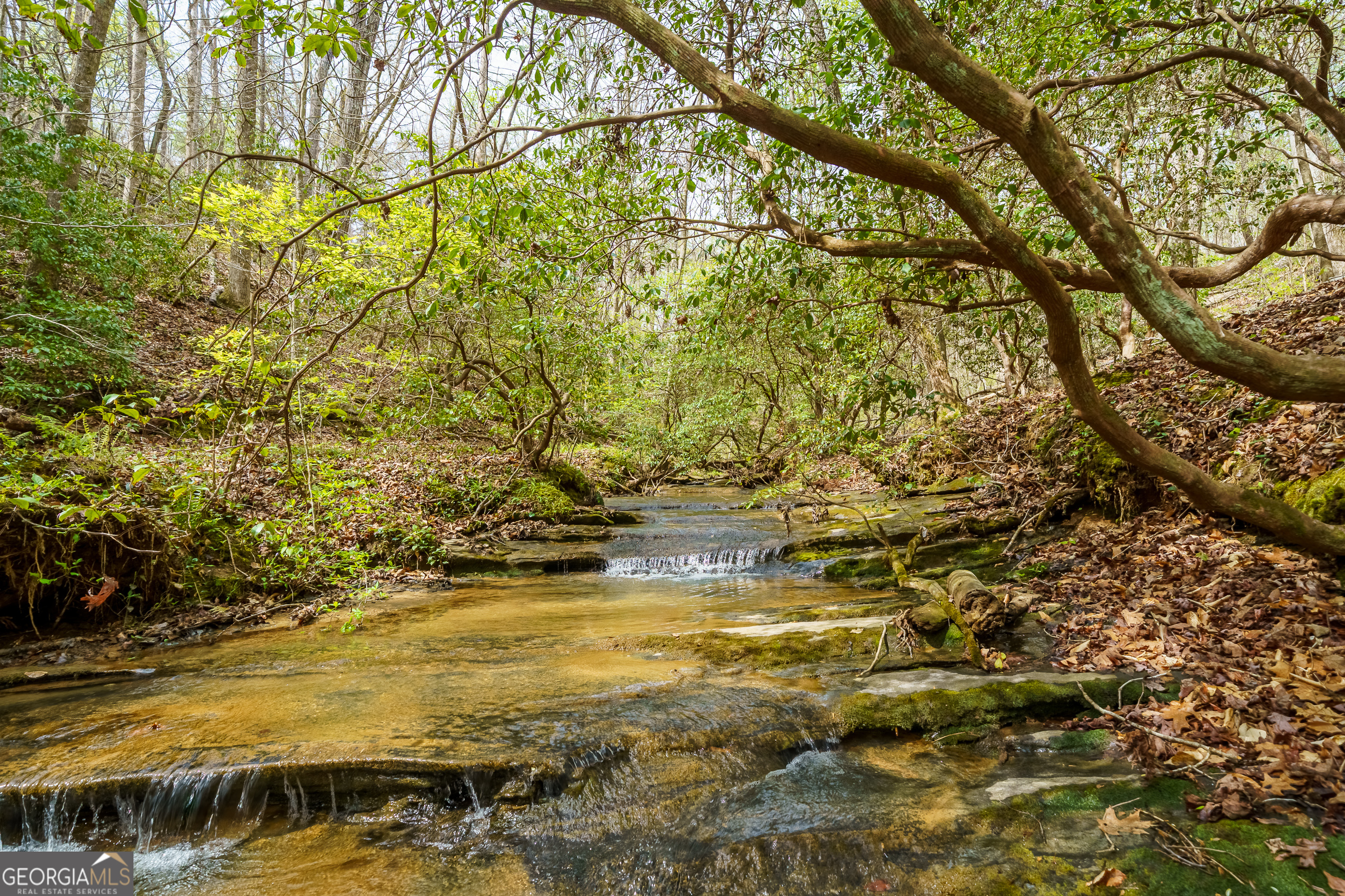 3467 Carver Mill Road Talking Rock GA 30175