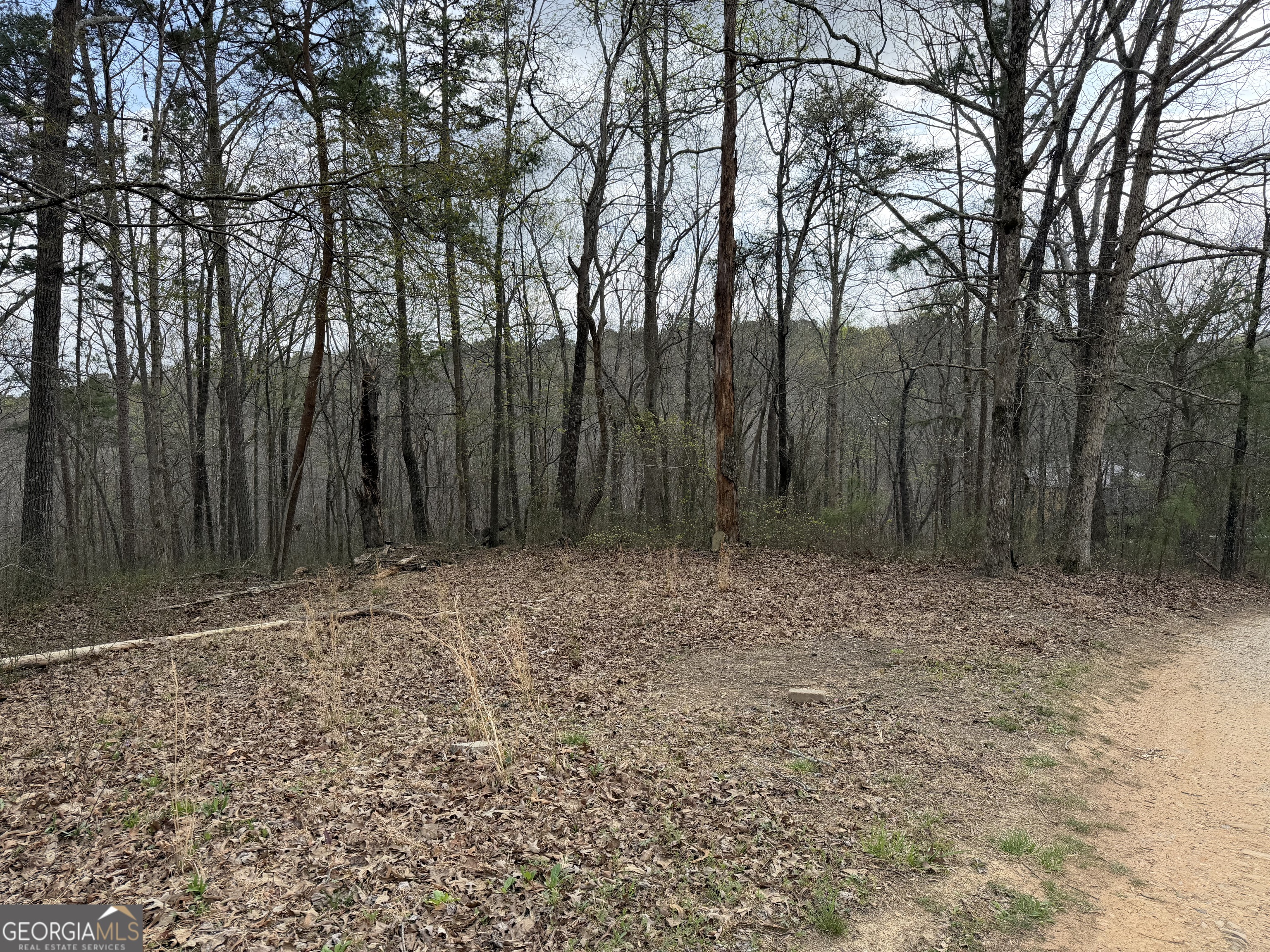 3467 Carver Mill Road Talking Rock GA 30175