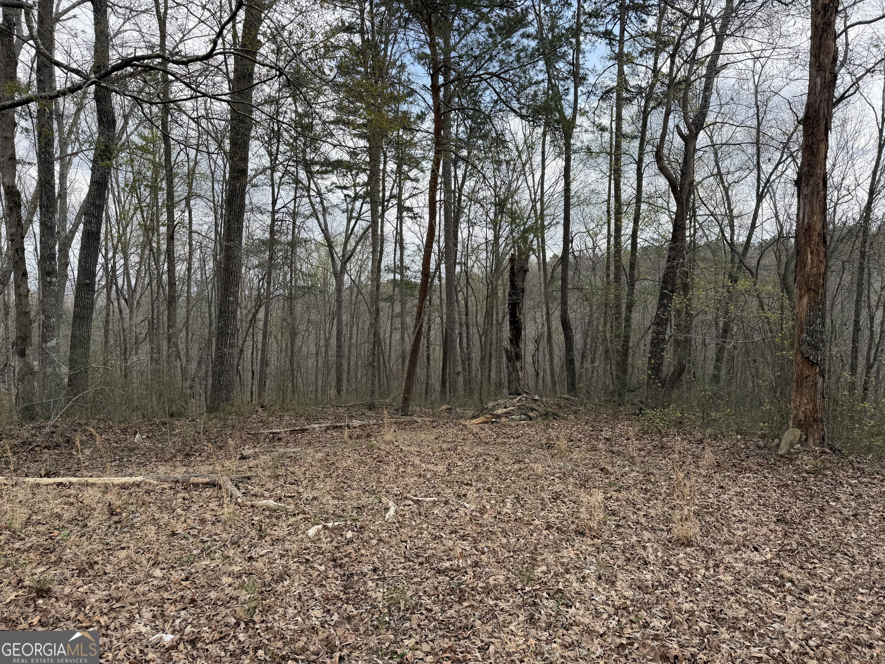 3467 Carver Mill Road Talking Rock GA 30175
