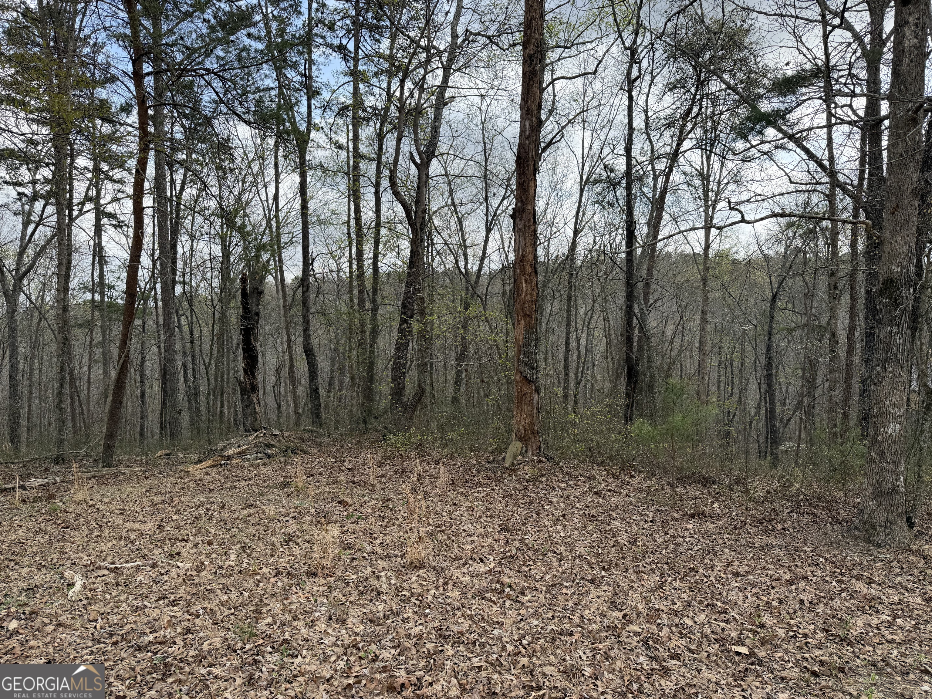 3467 Carver Mill Road Talking Rock GA 30175