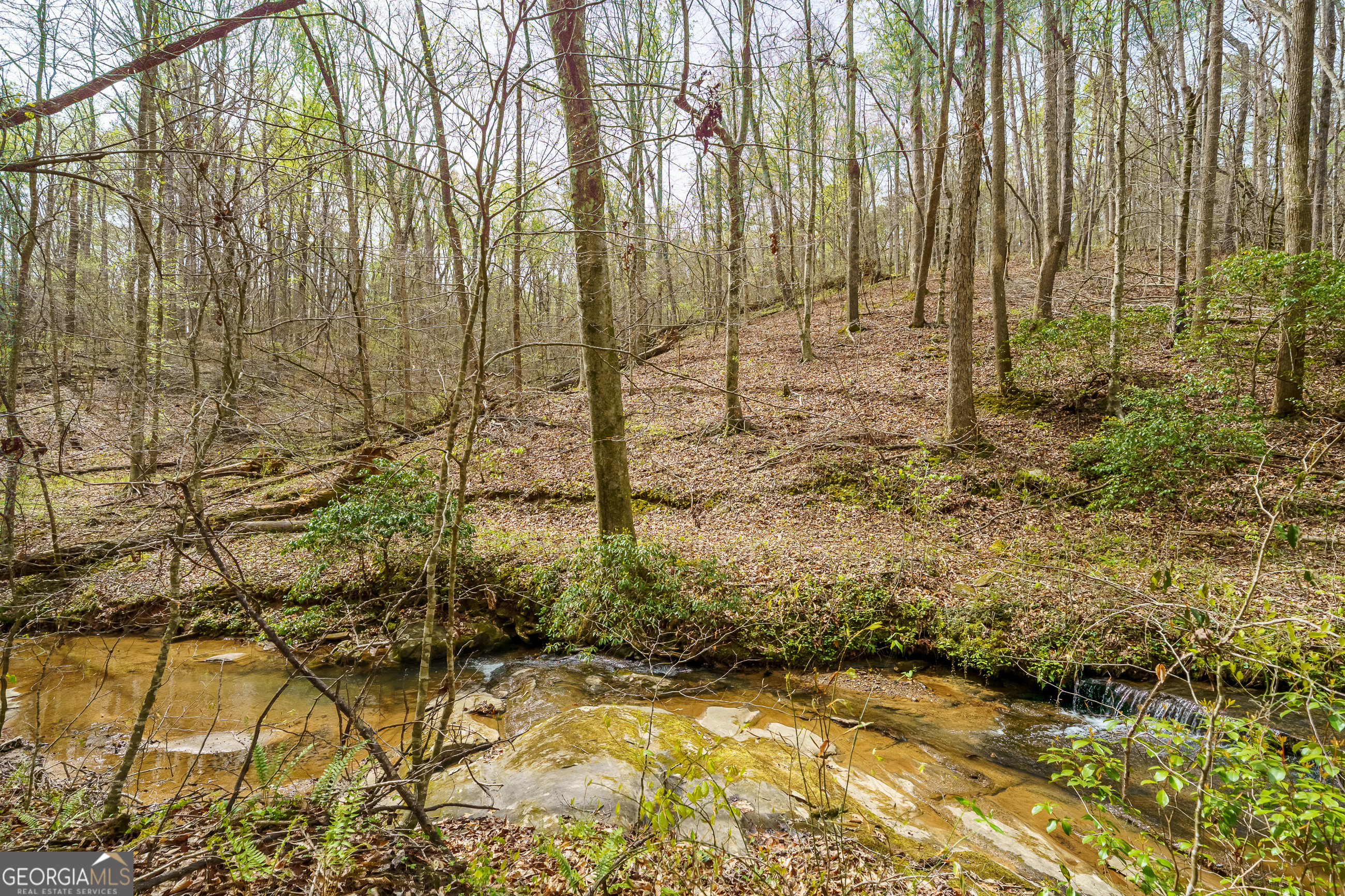 3467 Carver Mill Road Talking Rock GA 30175