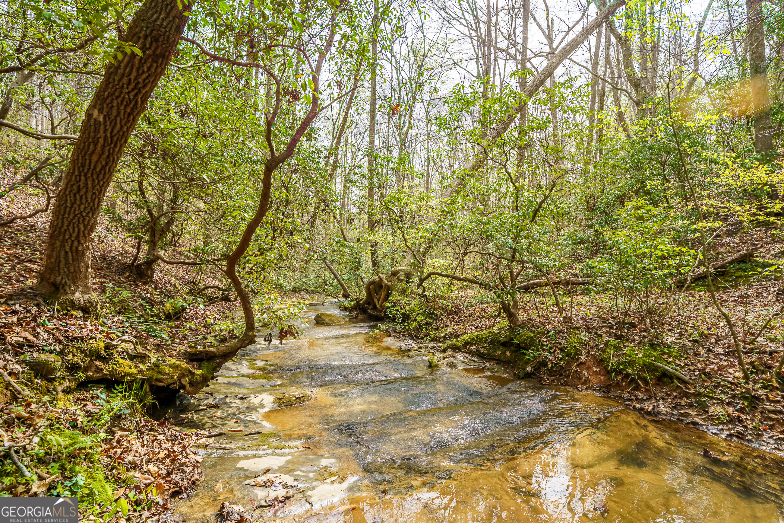 3467 Carver Mill Road Talking Rock GA 30175