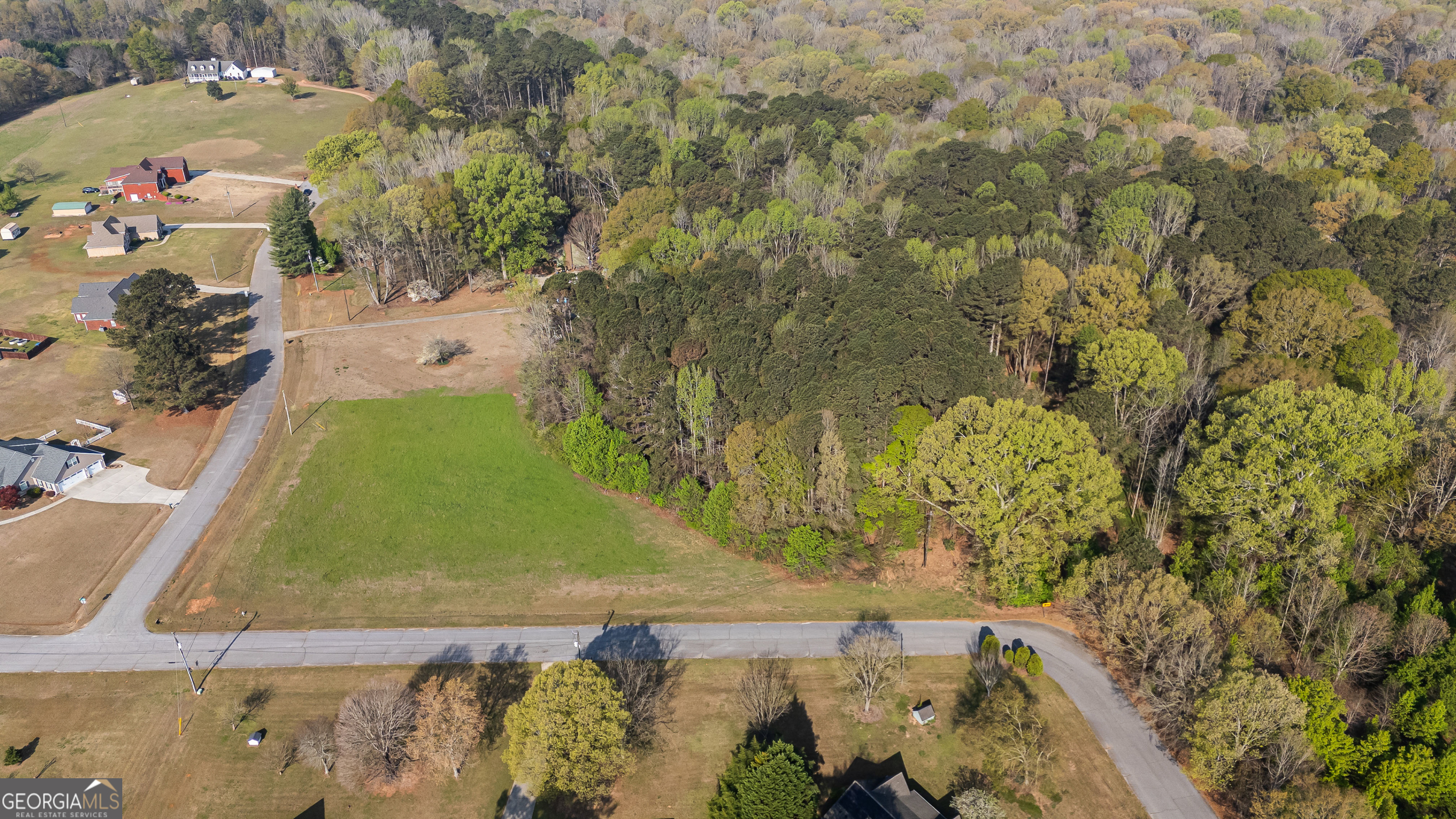 0 Bear Creek Trail Hampton GA 30228