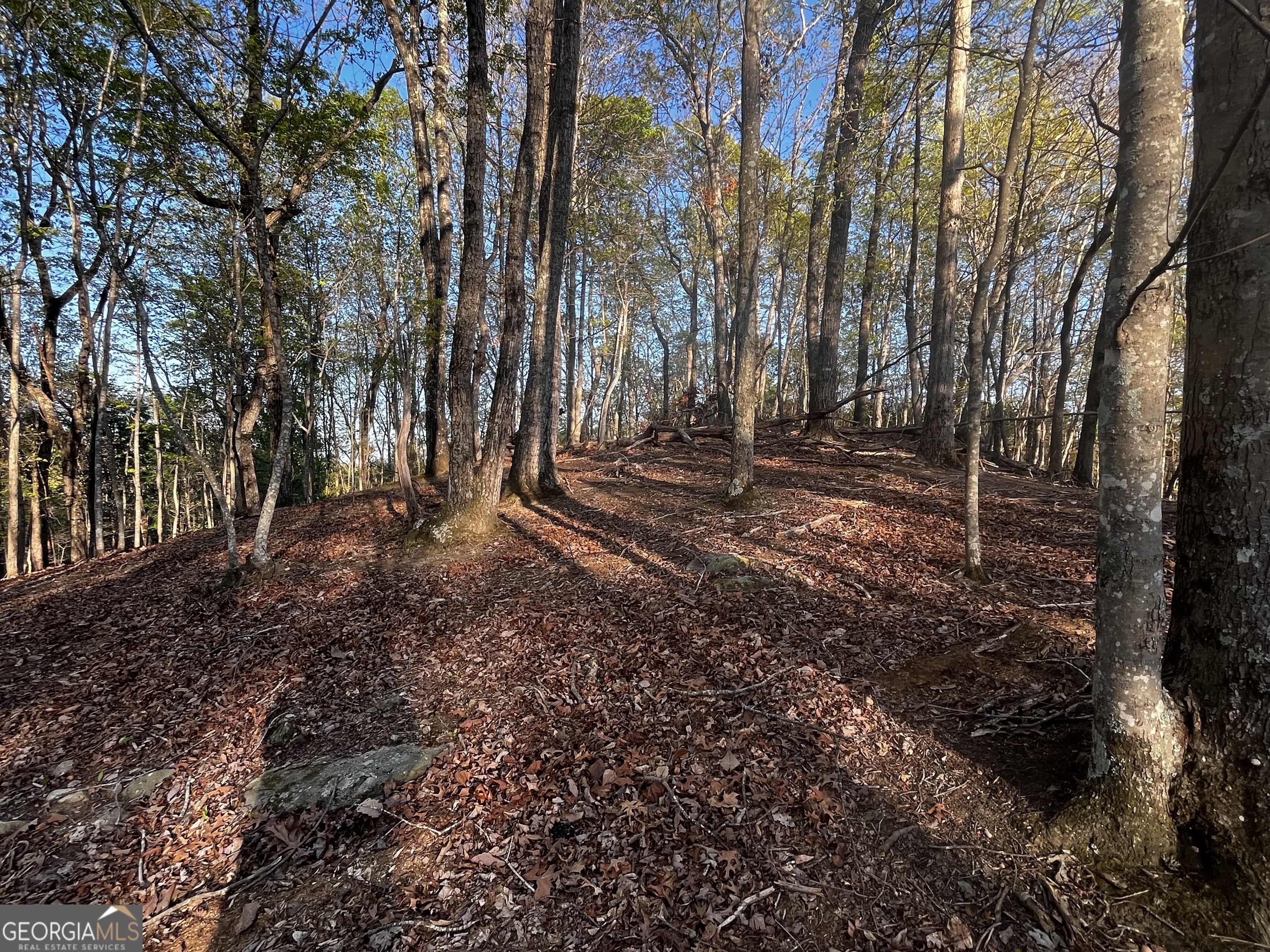 130 Lakeview Walk Baldwin GA 30511