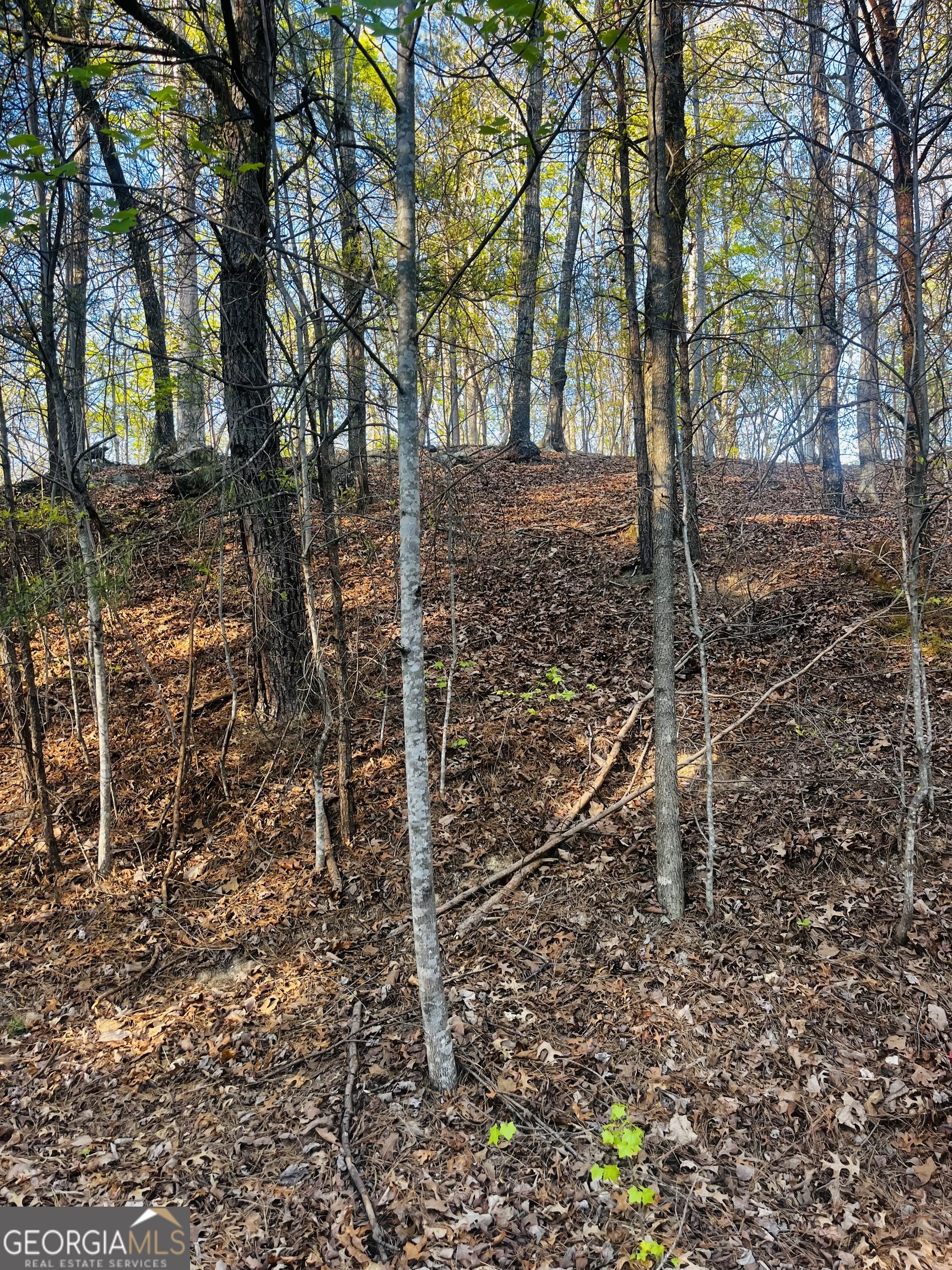 130 Lakeview Walk Baldwin GA 30511