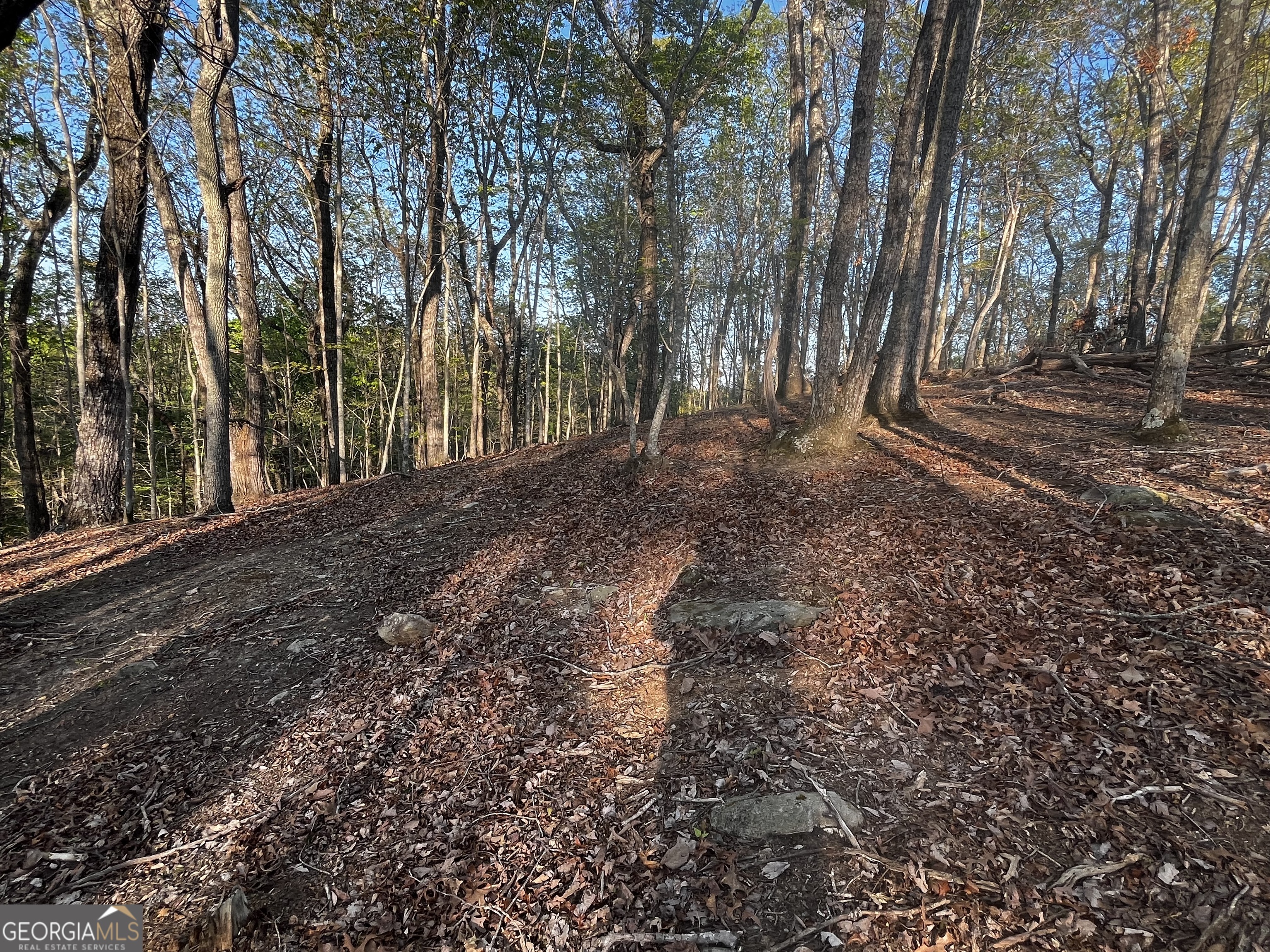 130 Lakeview Walk Baldwin GA 30511